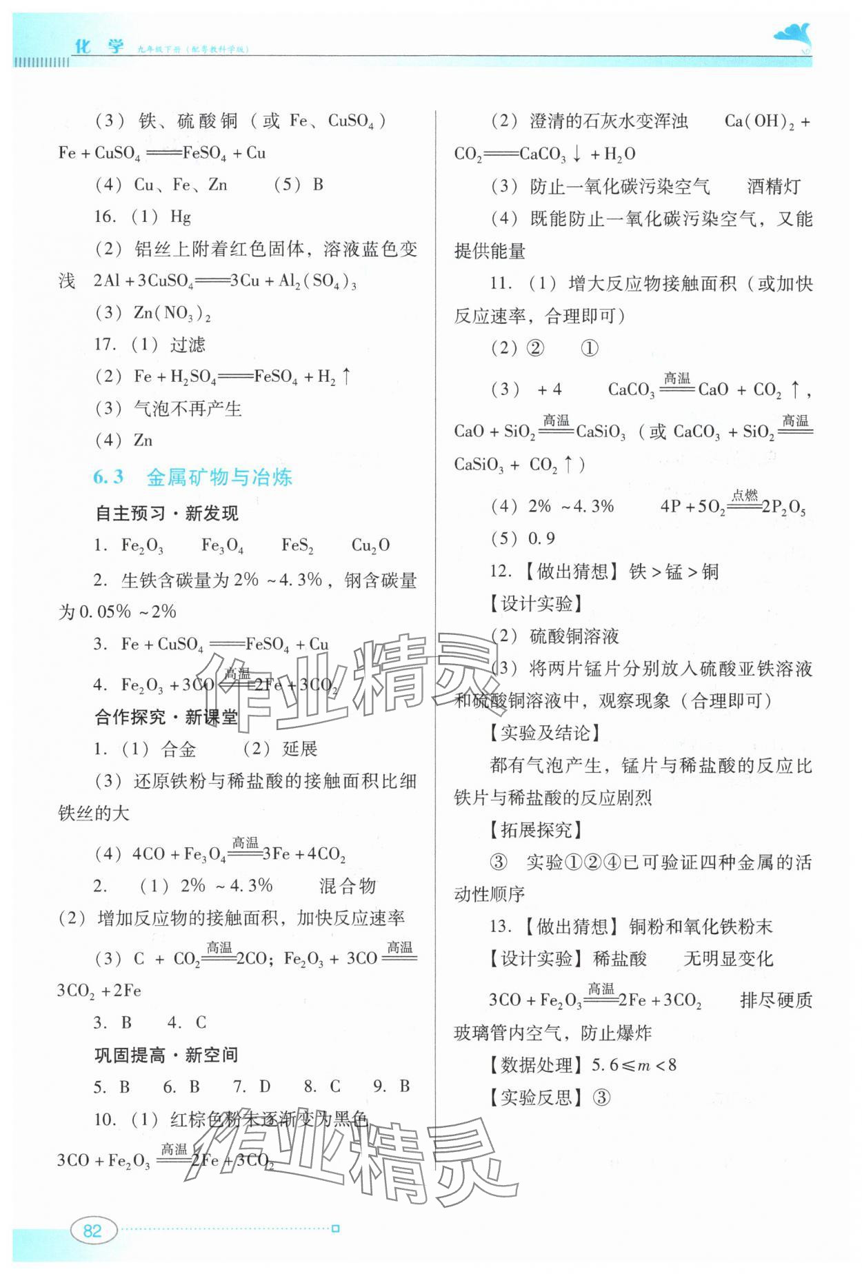 2024年南方新课堂金牌学案九年级化学下册科粤版 参考答案第2页