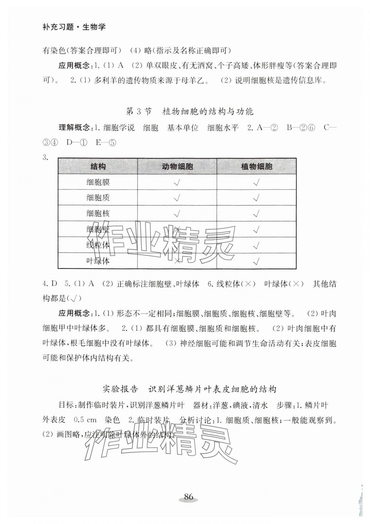 2024年補充習題江蘇七年級生物上冊蘇教版 第2頁