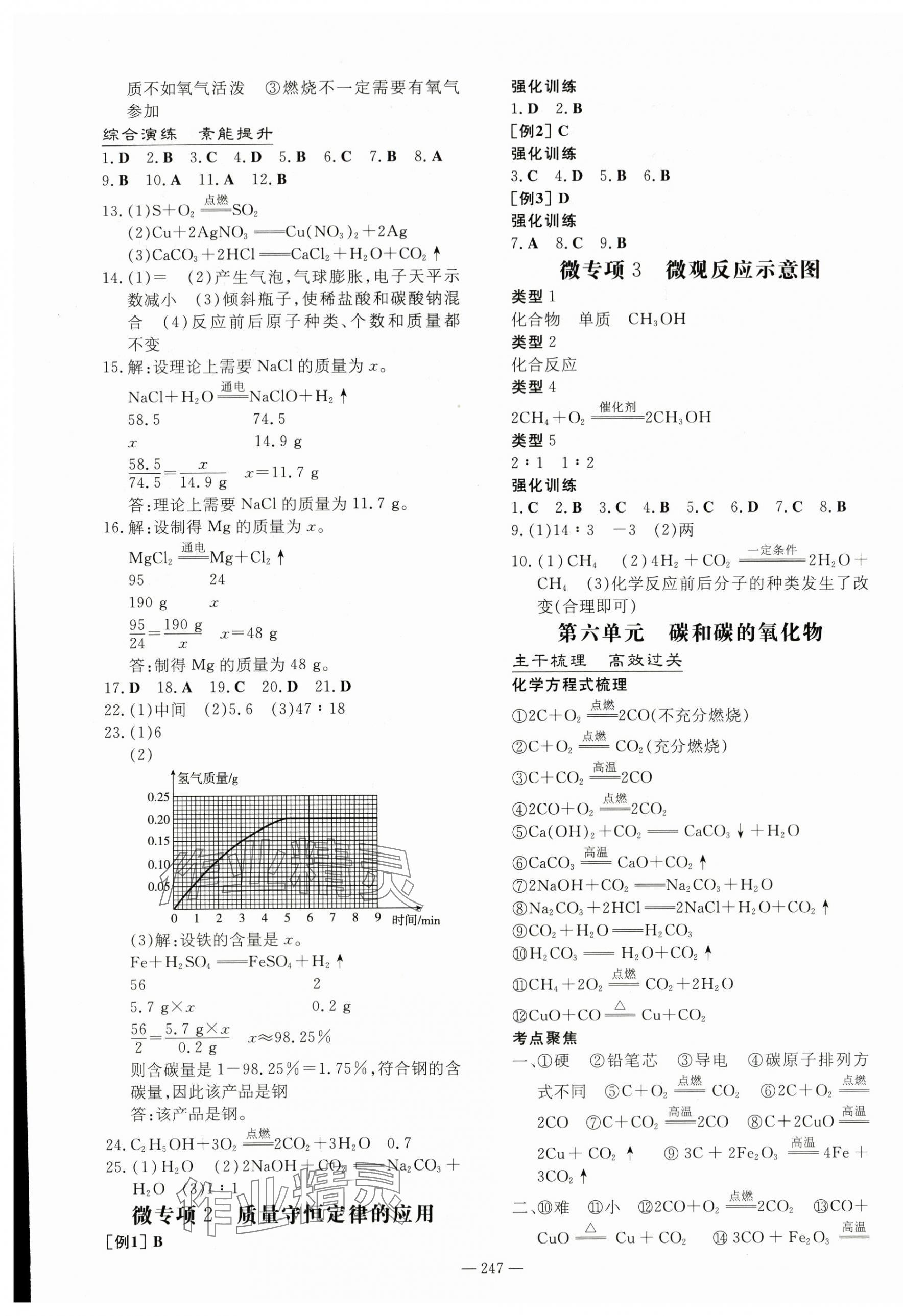 2024年中考总复习导与练化学 第5页