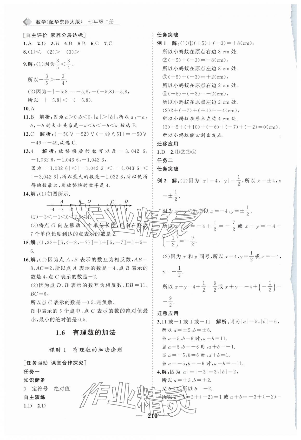 2024年新課程同步練習(xí)冊七年級數(shù)學(xué)上冊華師大版 第6頁