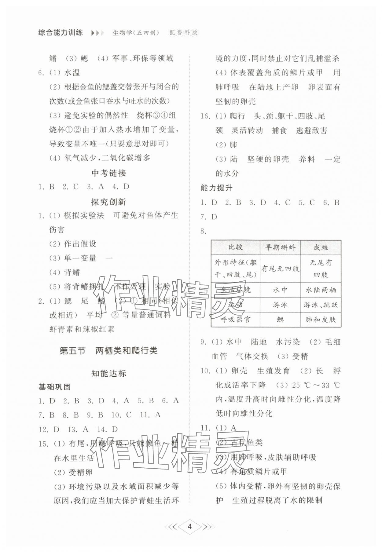 2024年綜合能力訓(xùn)練八年級(jí)生物上冊(cè)魯科版54制 參考答案第4頁(yè)