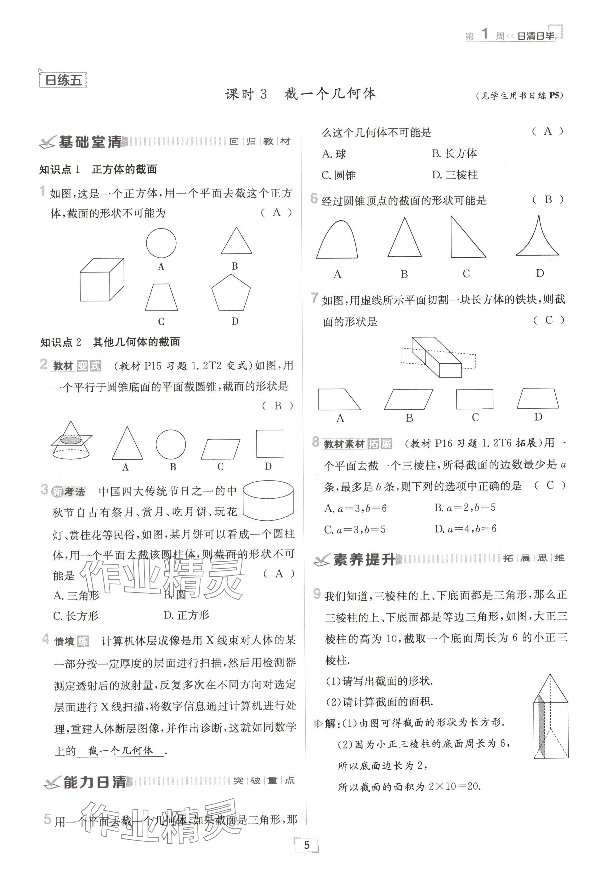 2024年日清周練七年級(jí)數(shù)學(xué)上冊(cè)北師大版 參考答案第5頁(yè)