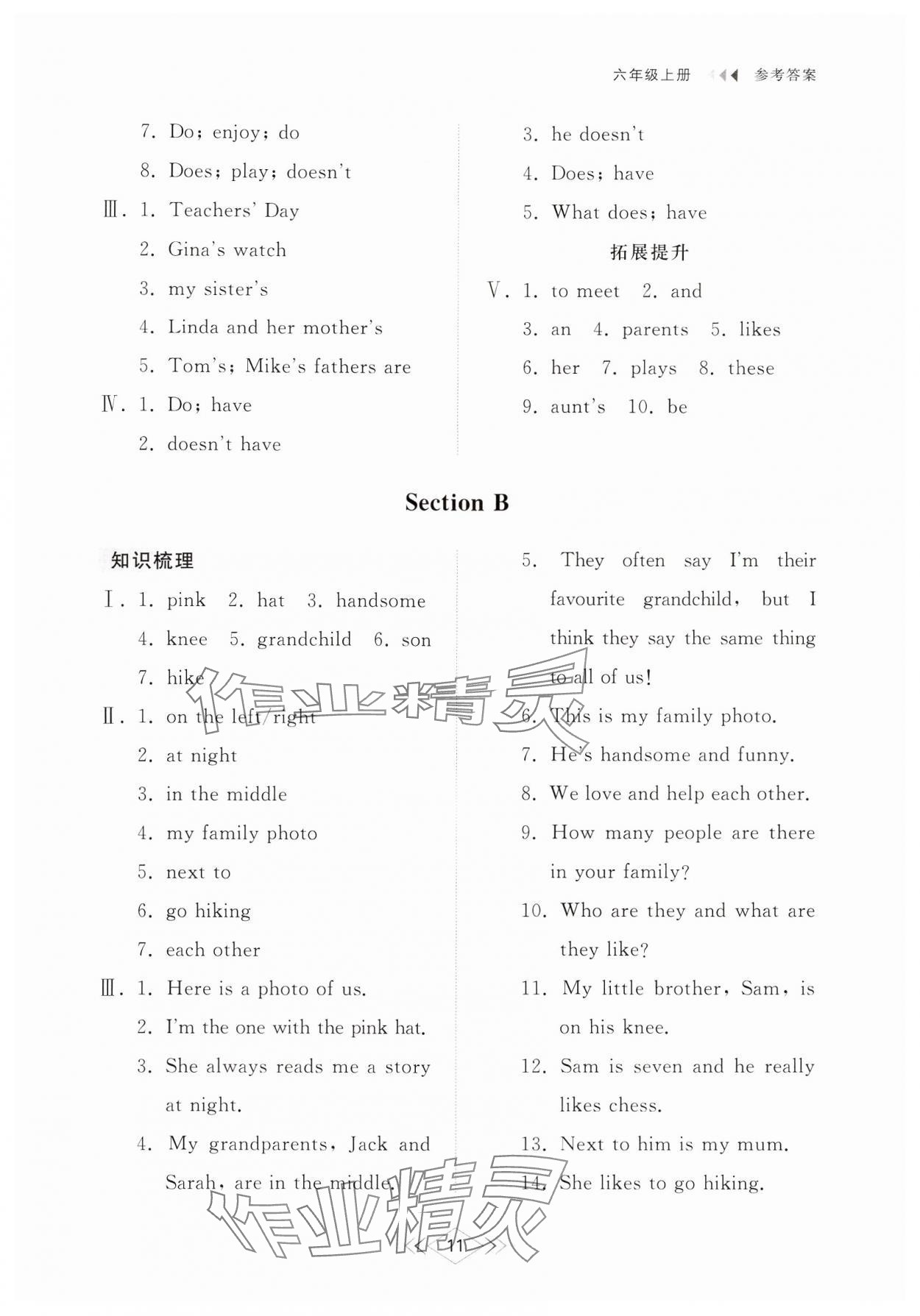 2024年綜合能力訓(xùn)練六年級英語上冊魯教版54制 參考答案第11頁