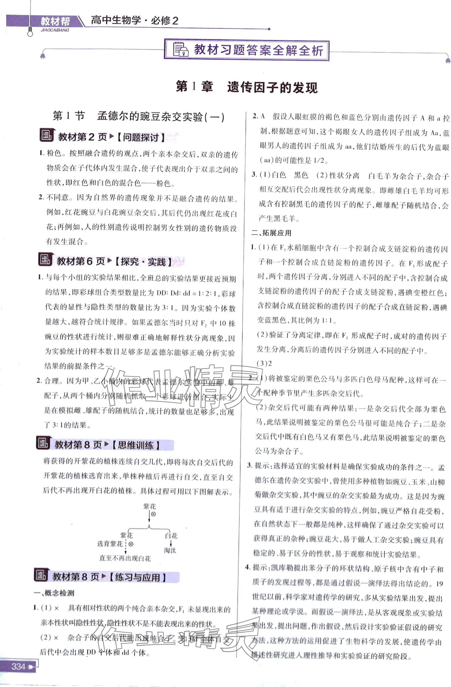 2024年教材課本高中生物必修2人教版 第1頁