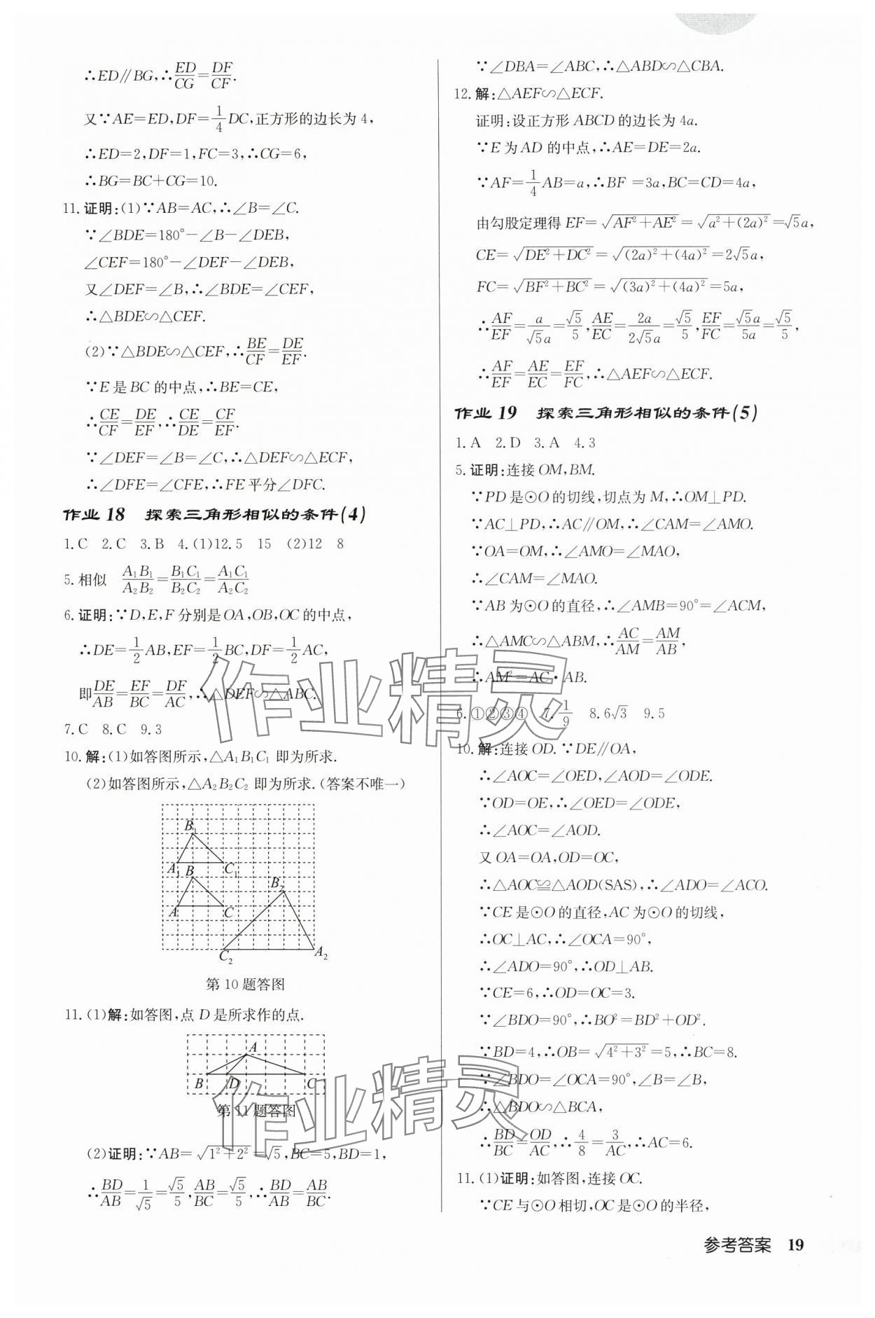 2024年启东中学作业本九年级数学下册苏科版连淮专版 第19页