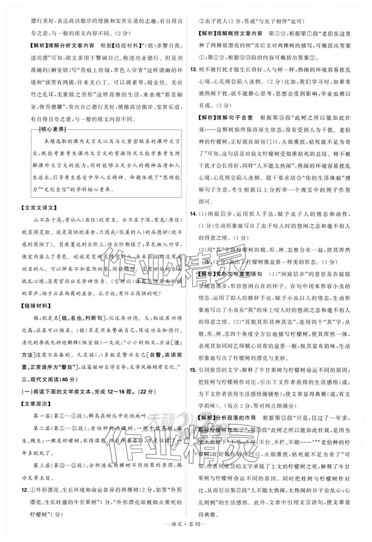 2024年天利38套新课标全国中考试题精选语文 参考答案第10页