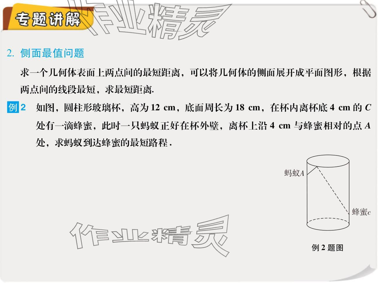 2024年复习直通车期末复习与假期作业八年级数学北师大版 参考答案第24页