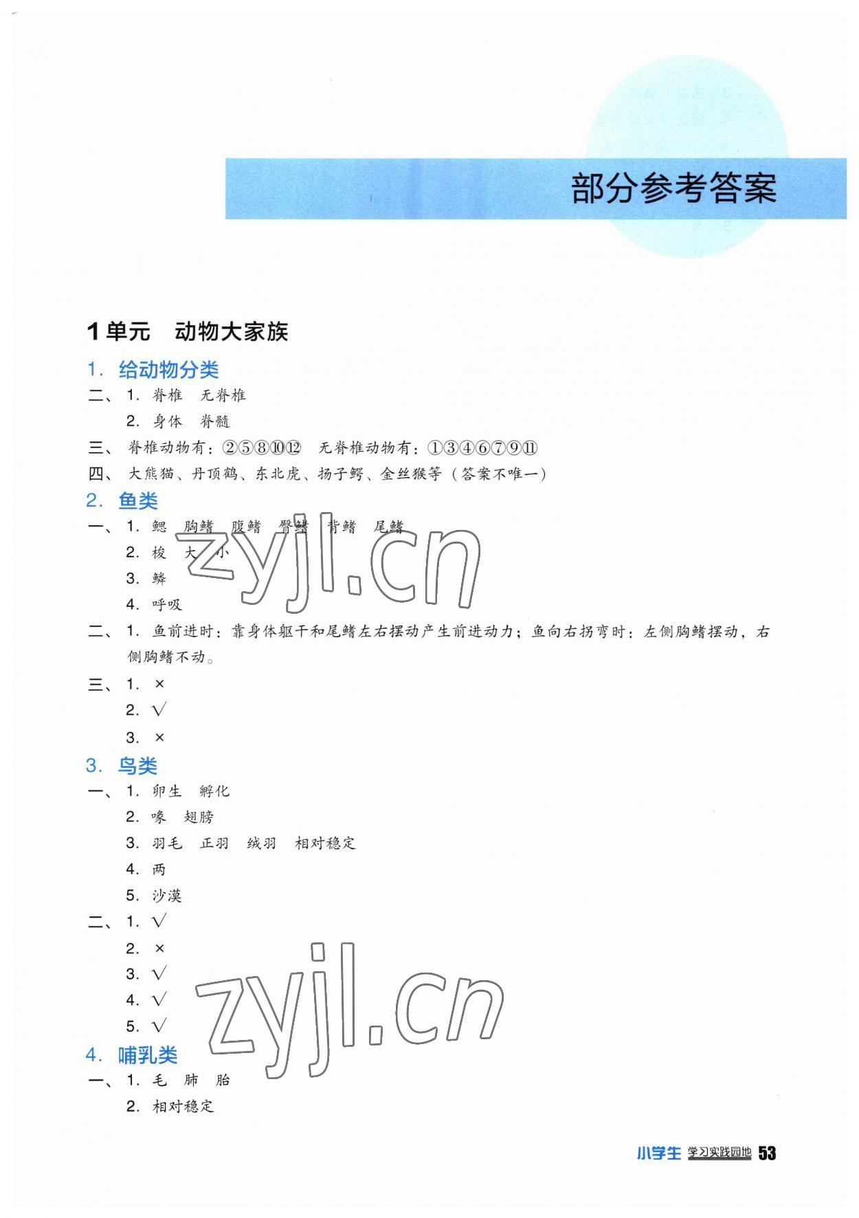 2023年學(xué)習(xí)實踐園地四年級科學(xué)上冊蘇教版 第1頁