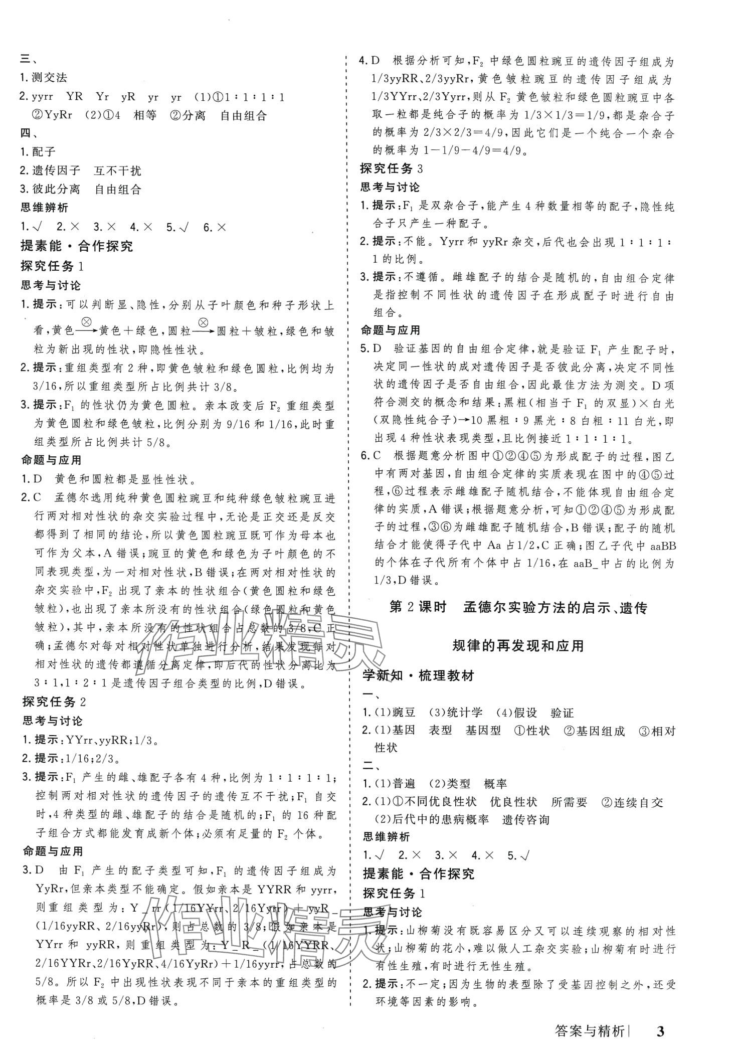 2024年高考领航高中生物必修2人教版 第3页