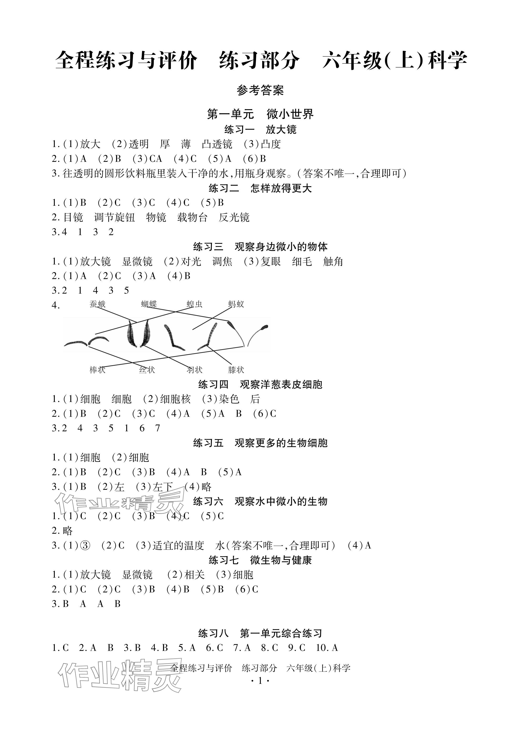 2024年全程練習(xí)與評價六年級科學(xué)上冊教科版 參考答案第1頁