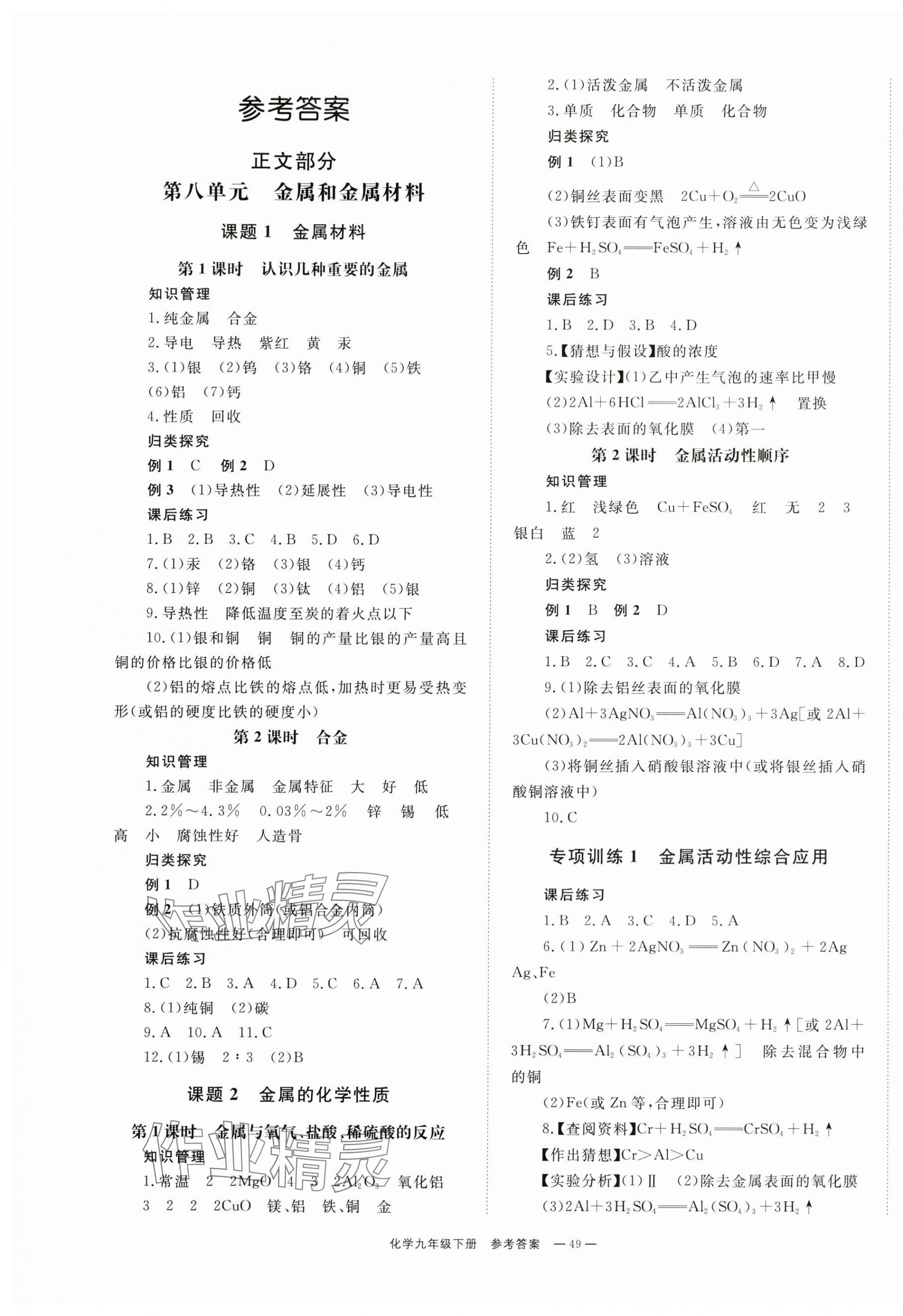 2024年全效學(xué)習(xí)同步學(xué)練測九年級化學(xué)下冊人教版 第1頁