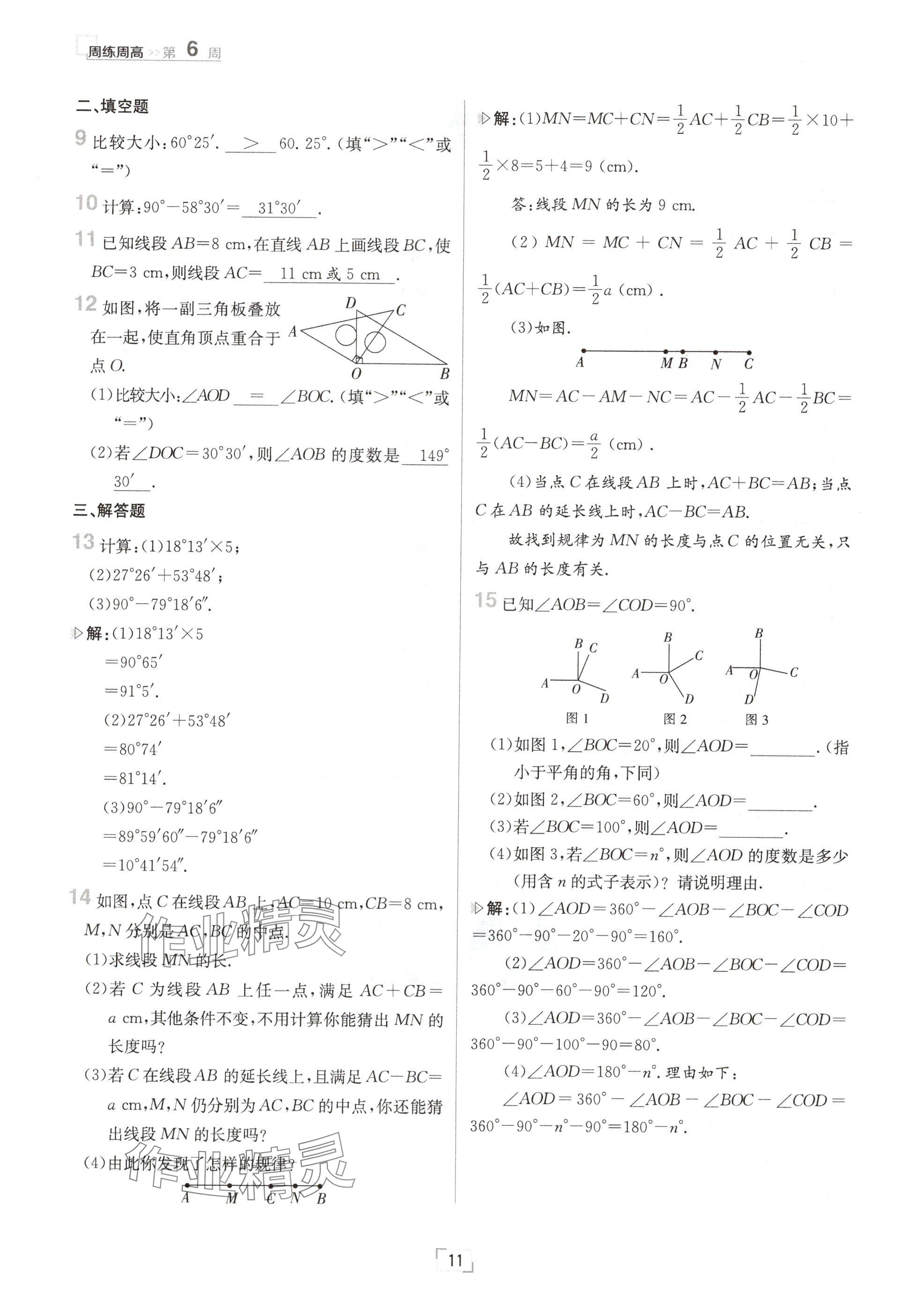 2024年日清周練七年級(jí)數(shù)學(xué)上冊冀教版 參考答案第11頁