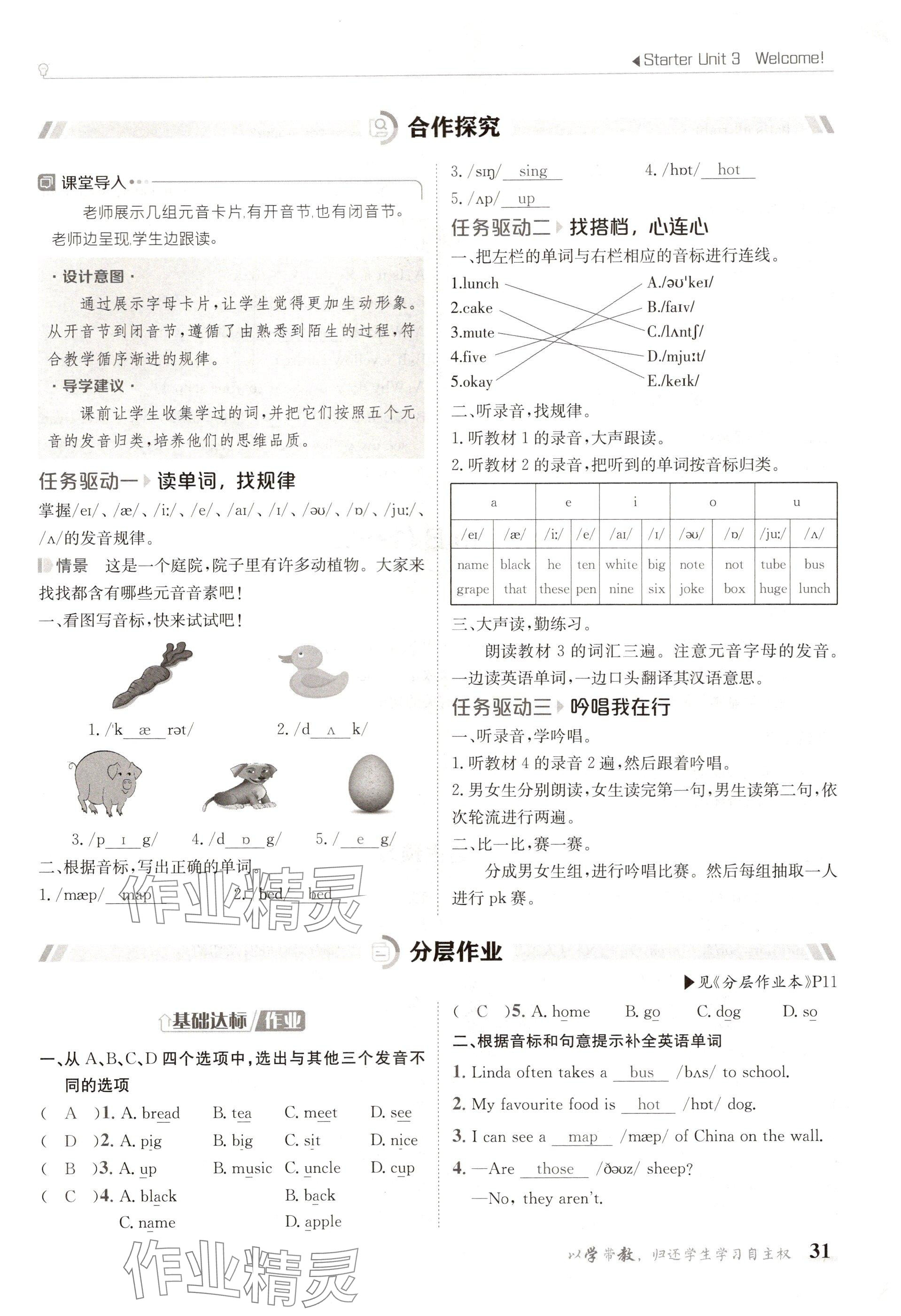 2024年金太陽導(dǎo)學(xué)案七年級英語上冊人教版 參考答案第31頁