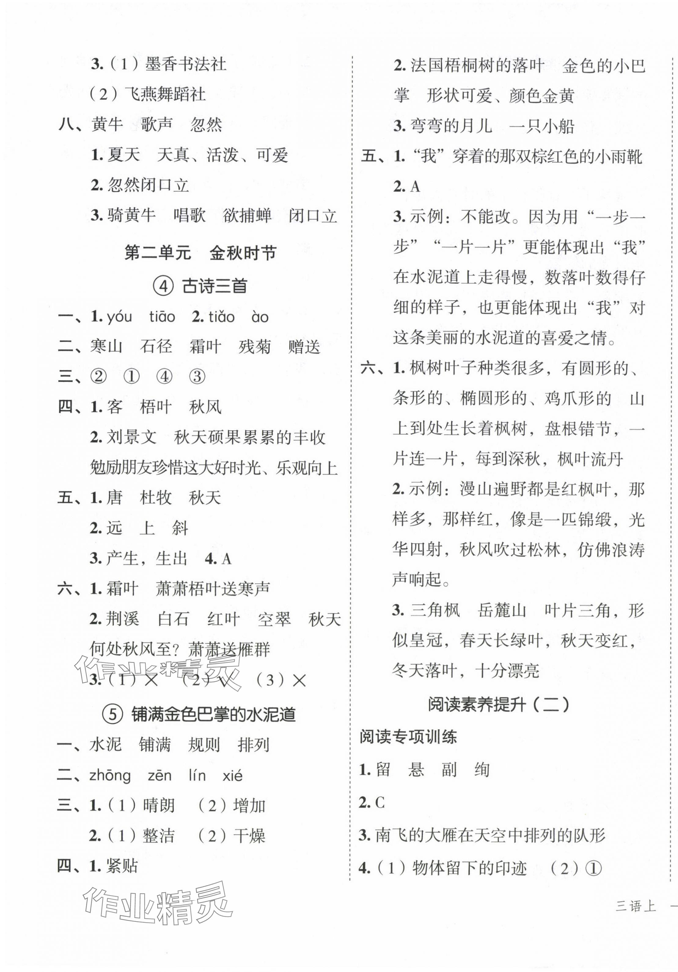 2024年名师面对面先学后练三年级语文上册人教版 参考答案第3页