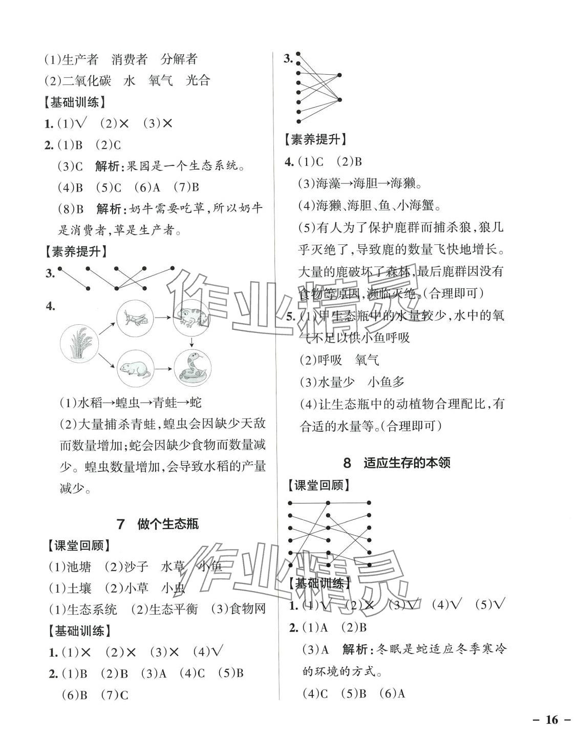 2024年小學(xué)學(xué)霸作業(yè)本六年級(jí)科學(xué)下冊(cè)蘇教版 第3頁(yè)