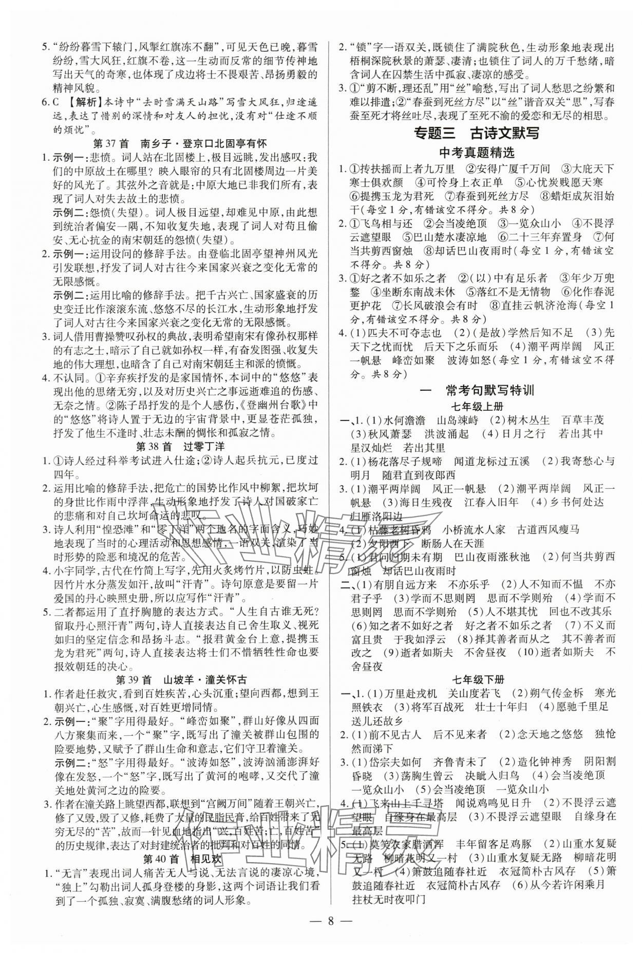 2024年领跑中考语文河南专版 第8页