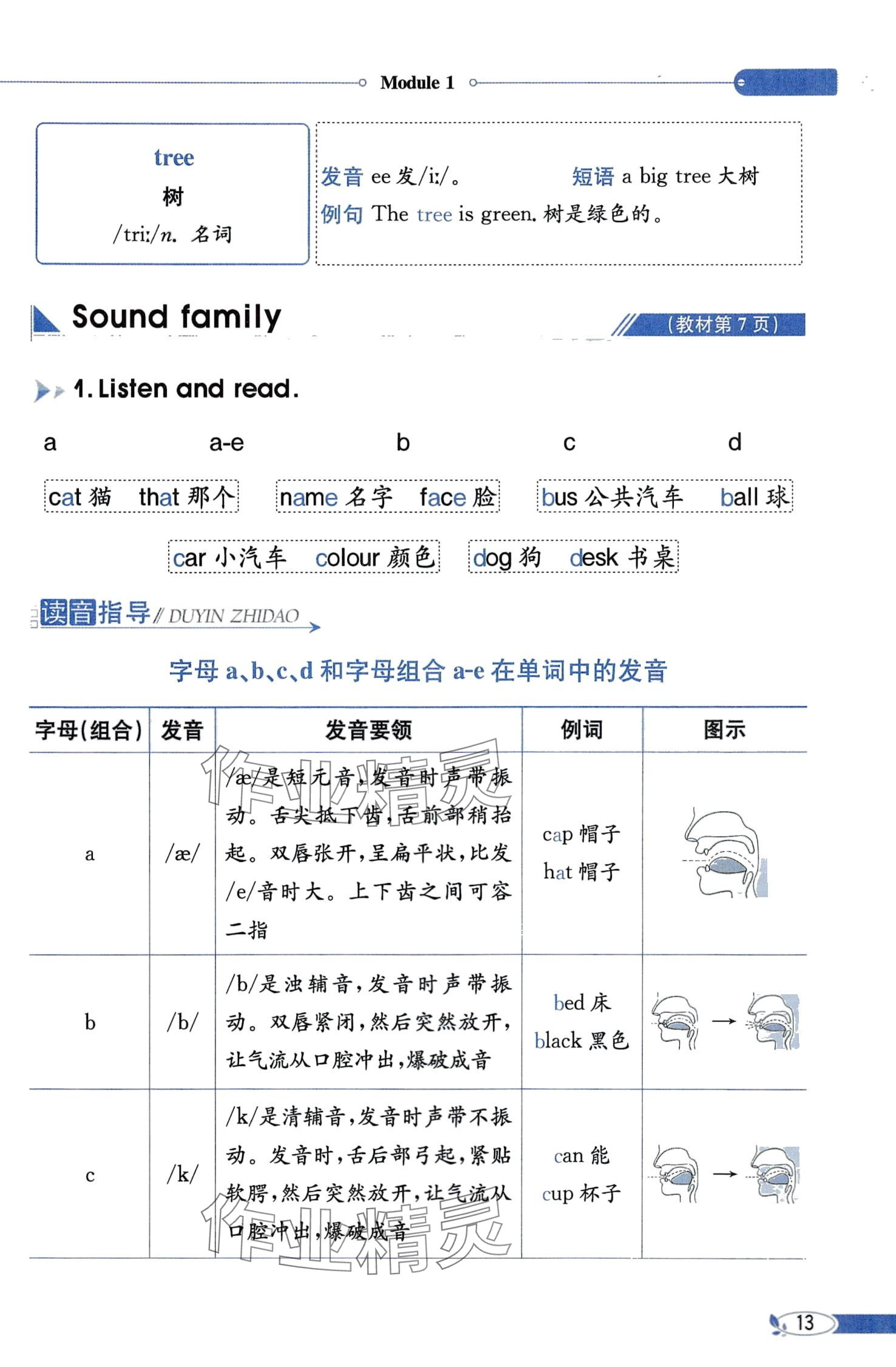 2024年教材课本三年级英语下册教科版 第13页