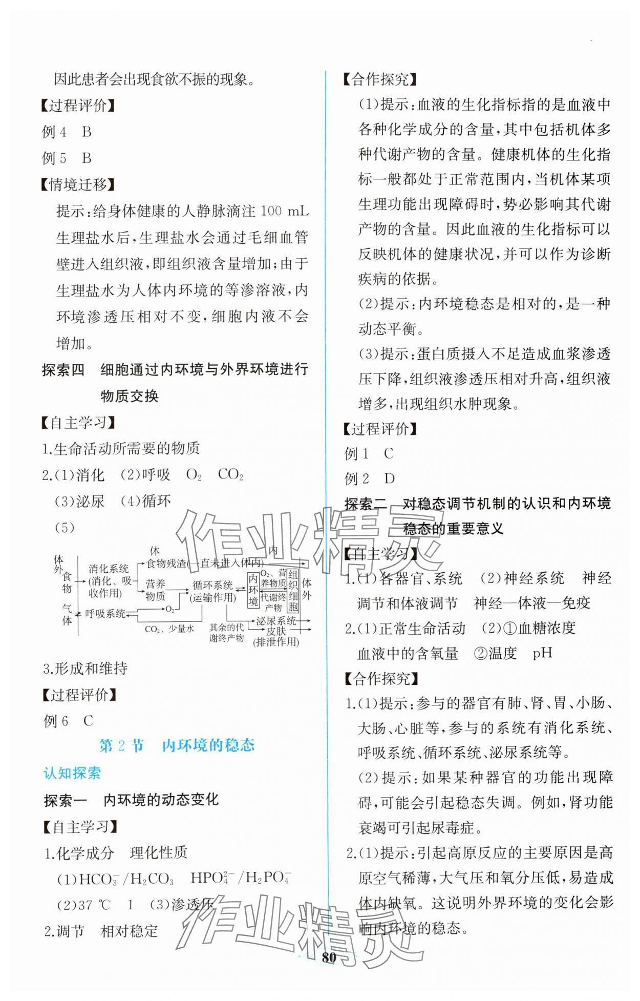 2023年课时练新课程学习评价方案高中生物选择性必修1人教版增强版 第2页