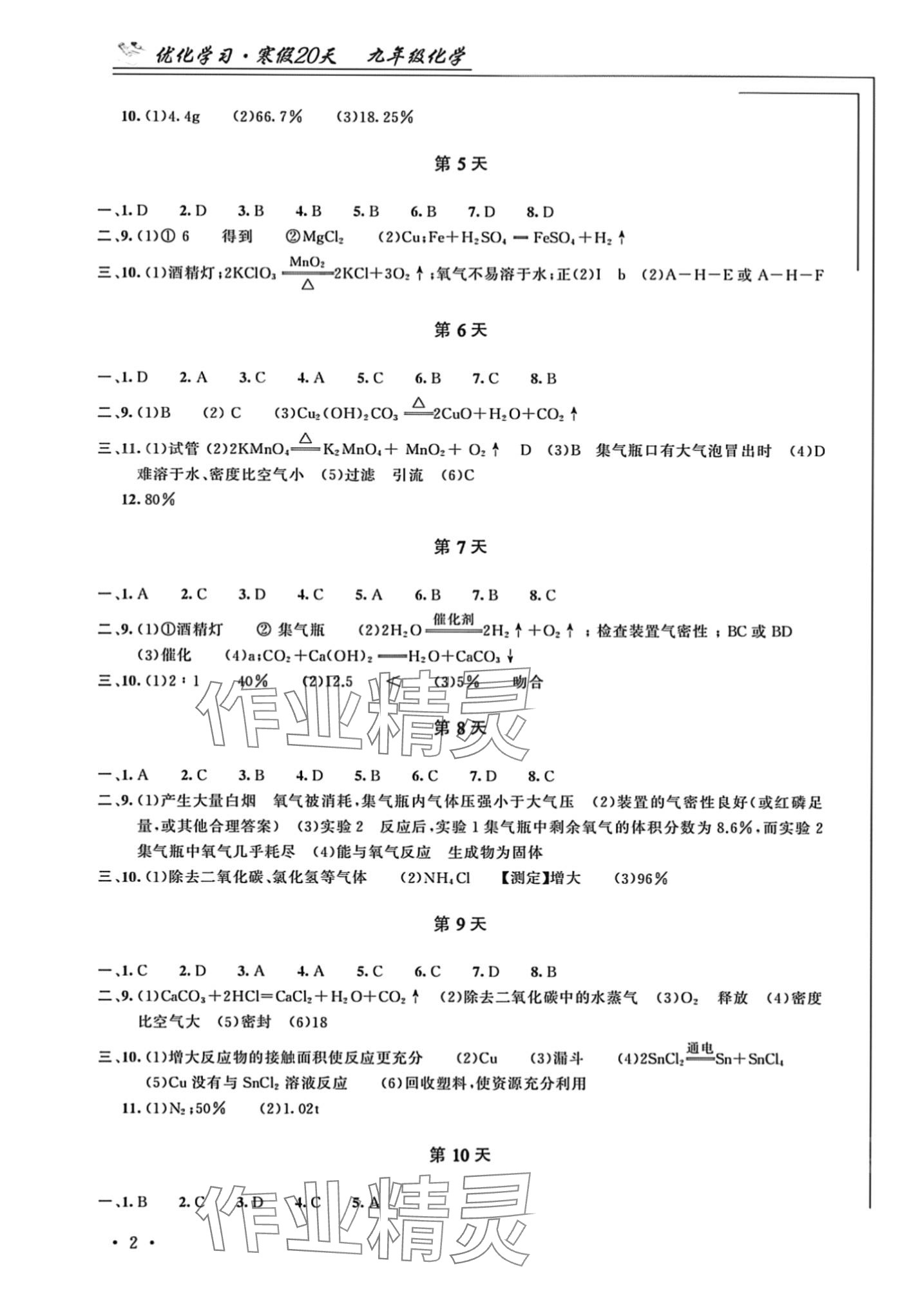 2024年优化学习寒假20天九年级 第2页