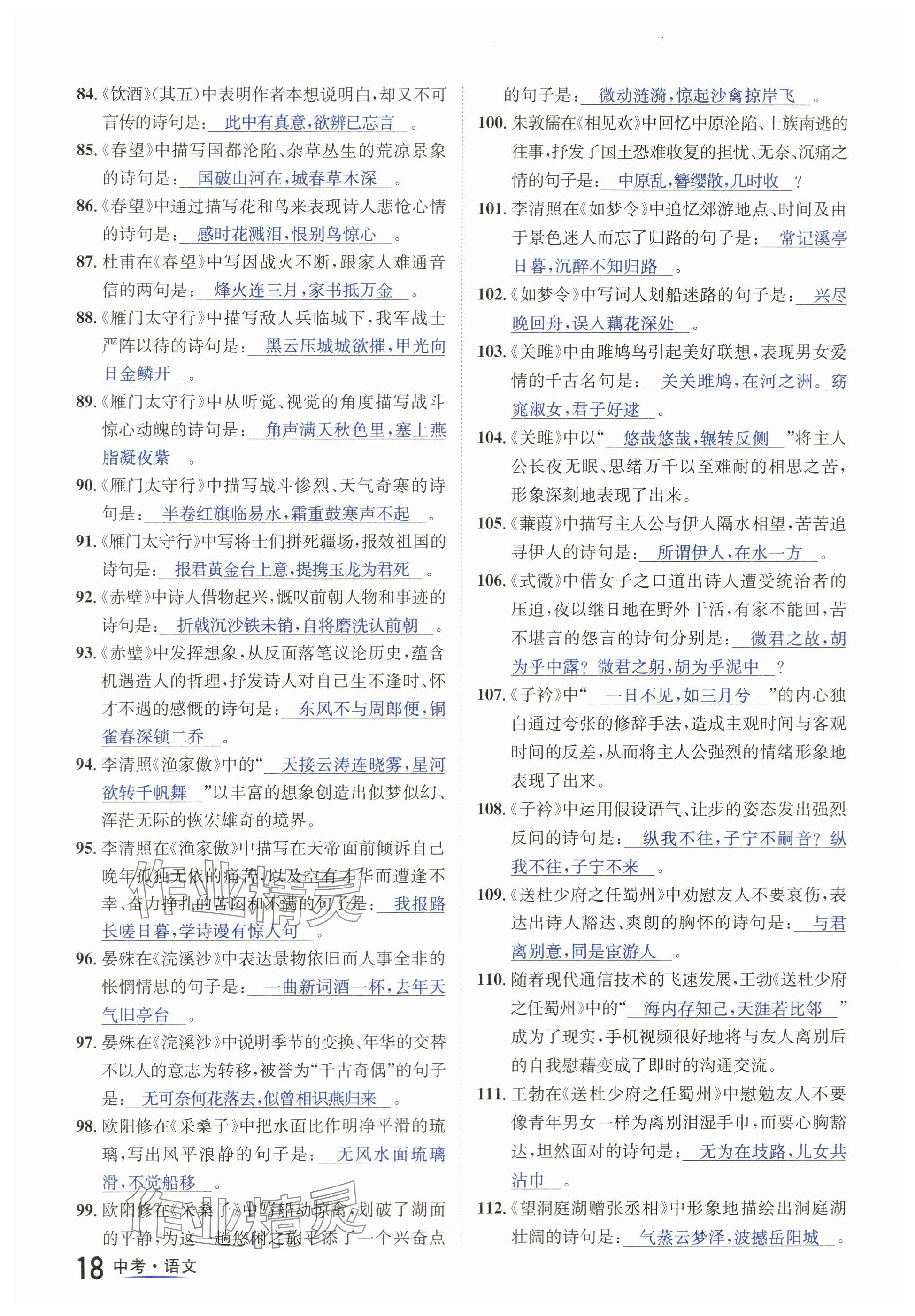 2024年国华图书中考拐点语文南充专版 参考答案第18页