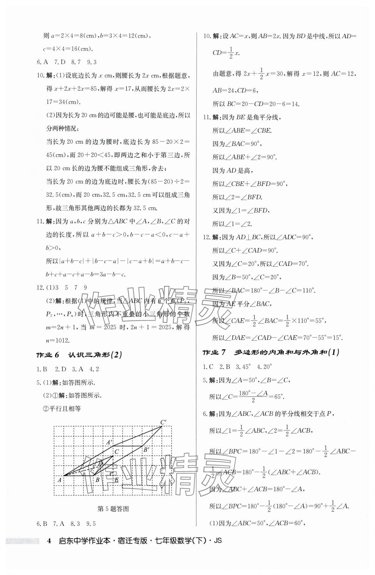 2024年启东中学作业本七年级数学下册苏科版宿迁专版 第4页