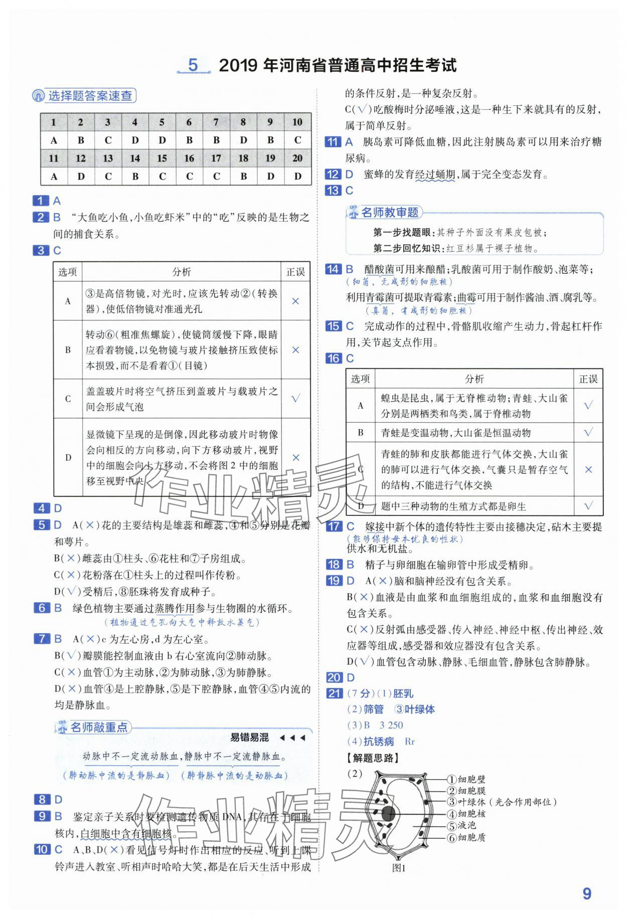 2024年金考卷45套匯編生物河南專版 第9頁