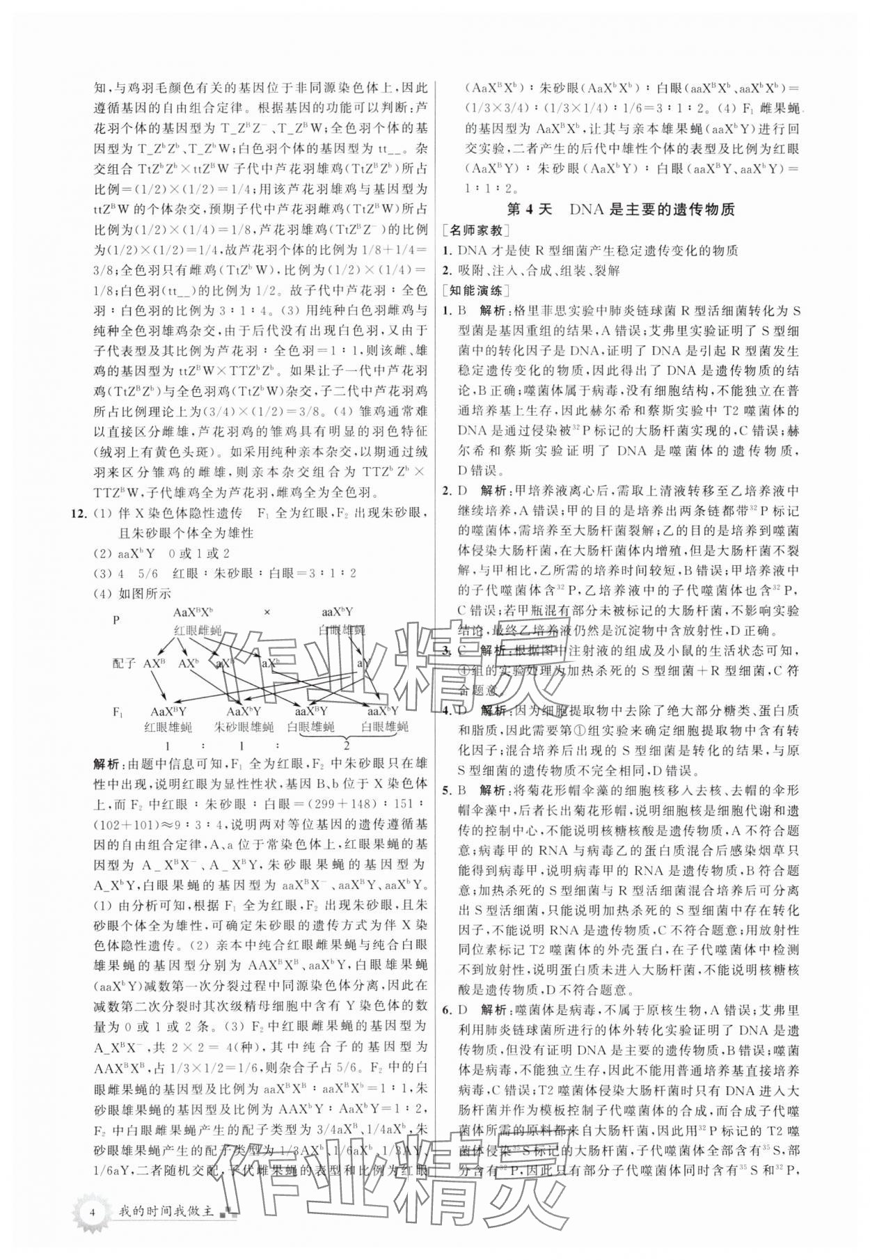 2024年最高考假期作業(yè)高一生物 第4頁