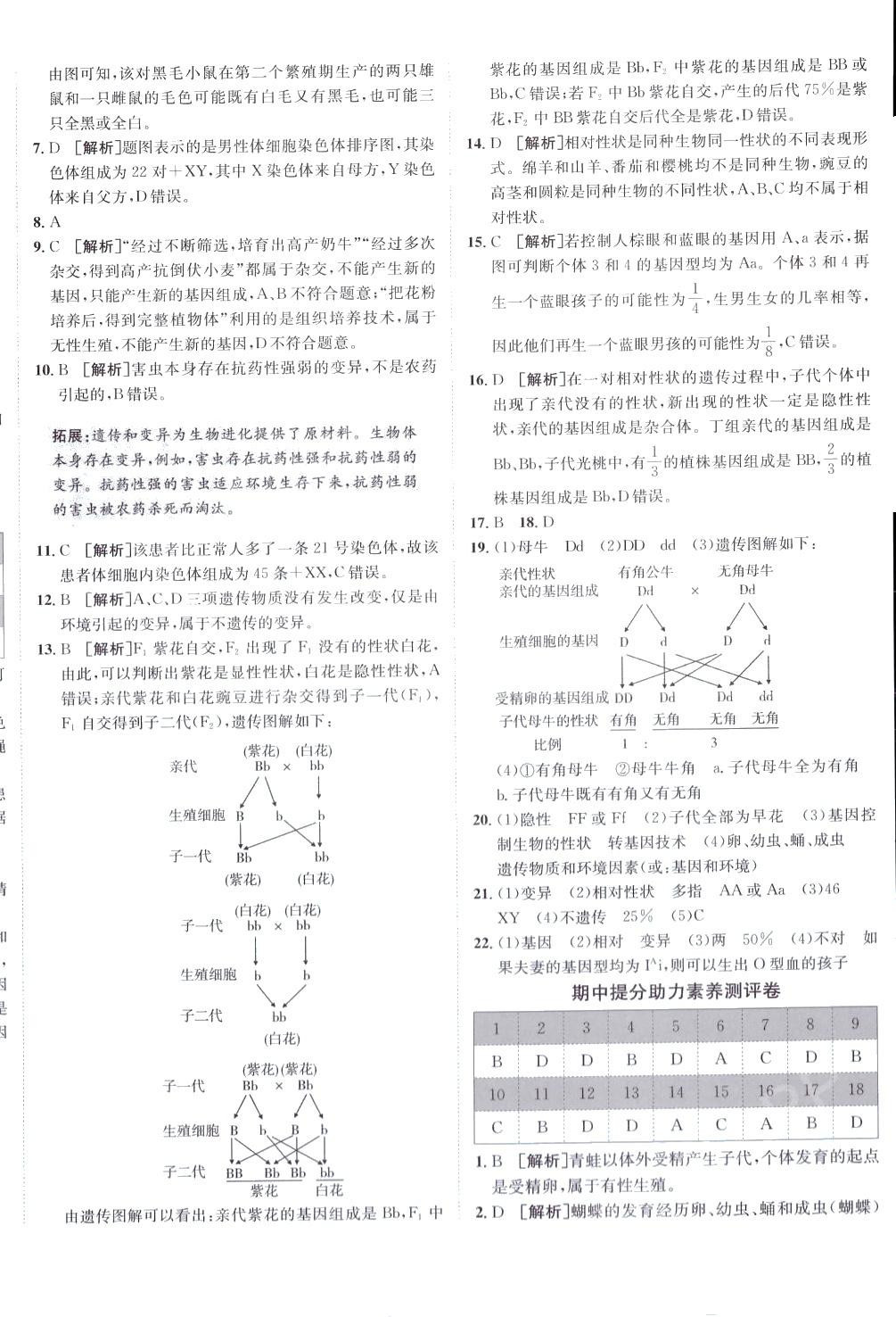 2024年海淀单元测试AB卷八年级生物下册人教版 第4页