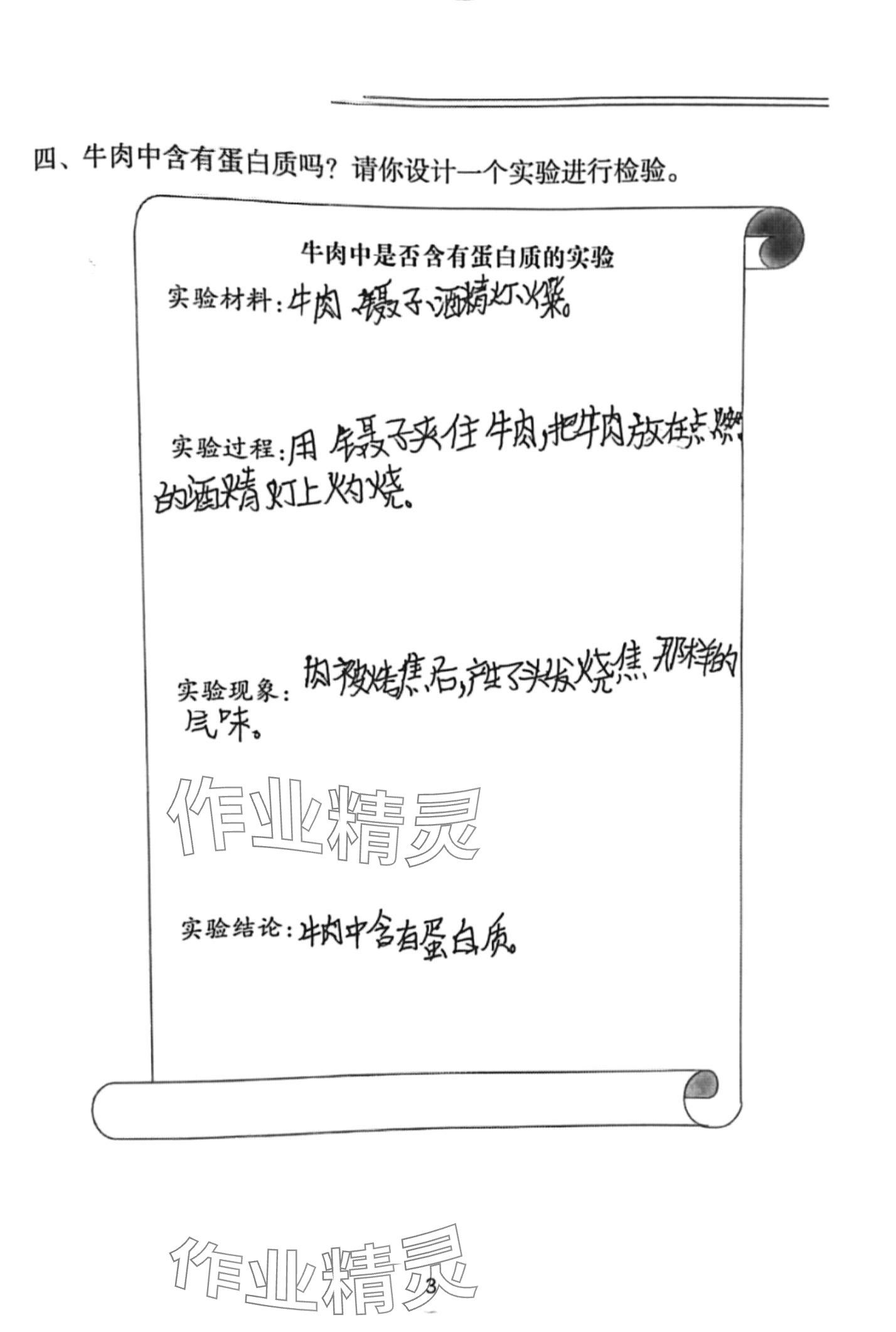 2024年寒假作业长江少年儿童出版社三年级科学人教版 第3页