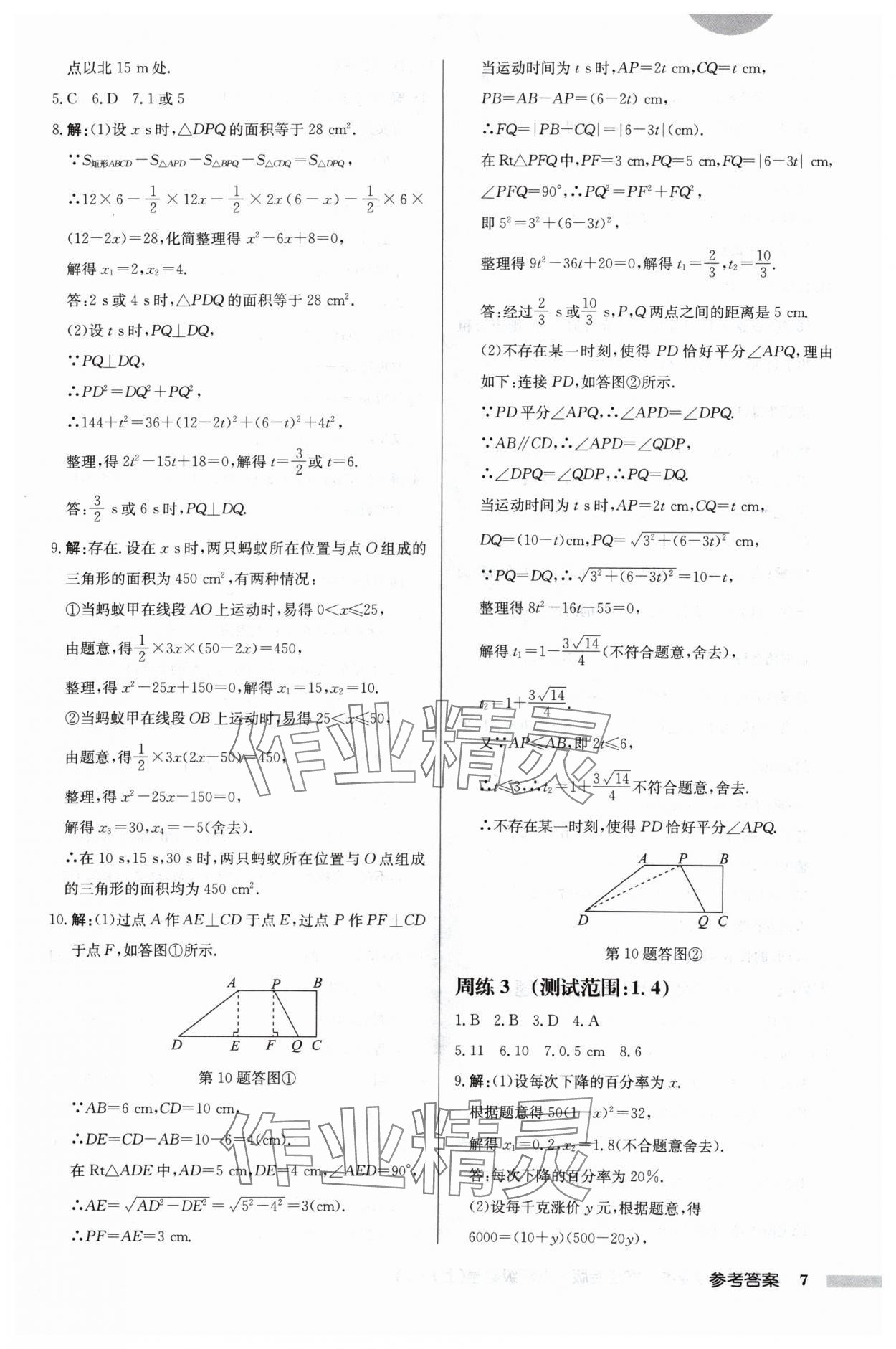 2024年啟東中學(xué)作業(yè)本九年級數(shù)學(xué)上冊蘇科版宿遷專版 第7頁