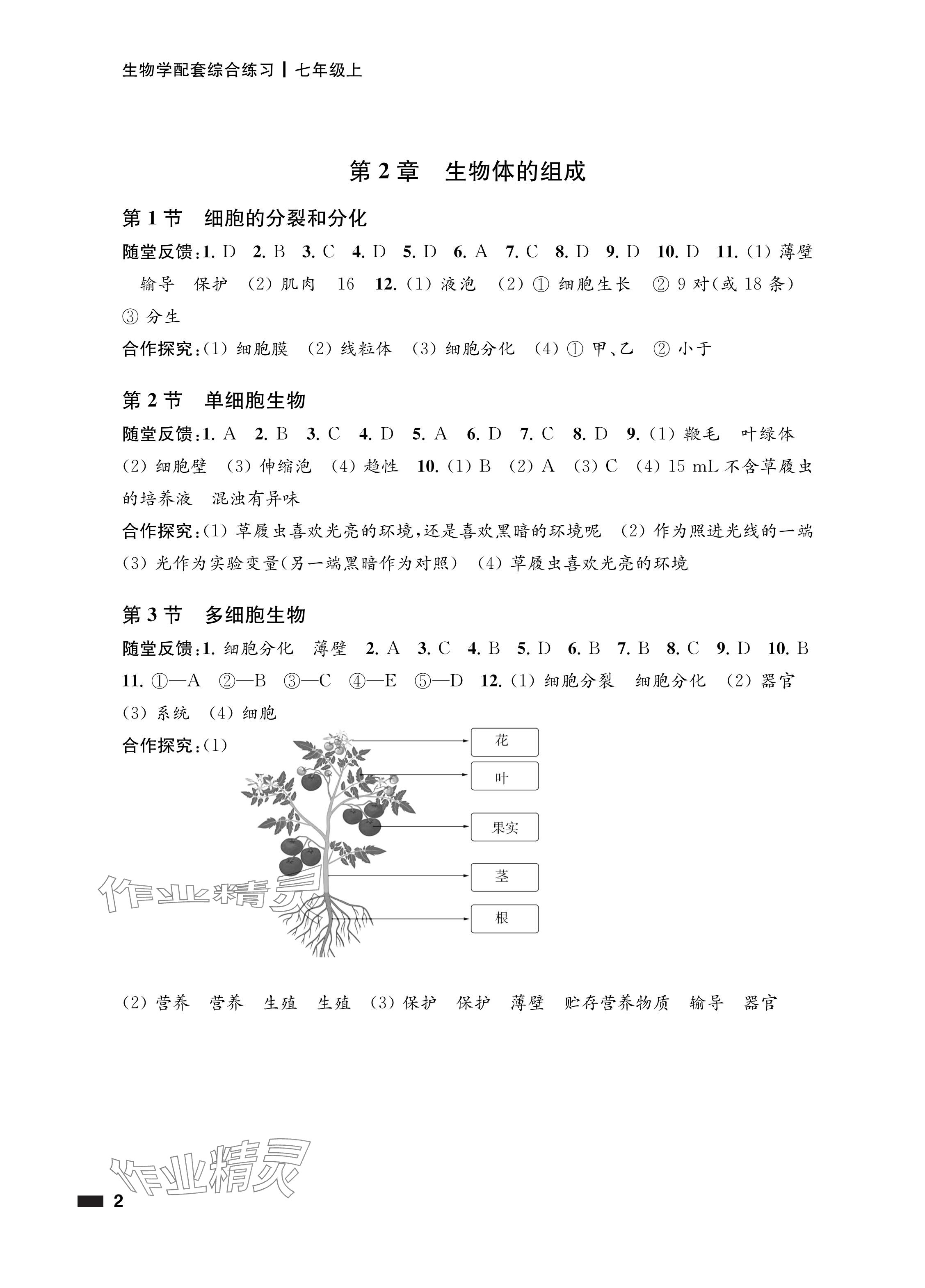 2024年配套綜合練習(xí)甘肅七年級生物上冊冀教版 參考答案第2頁