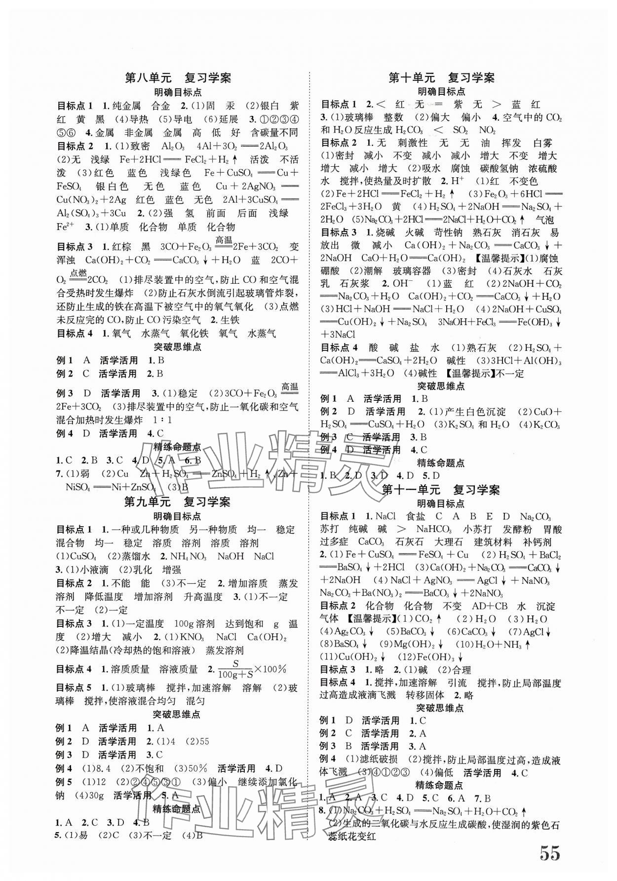 2023年標(biāo)準(zhǔn)卷長江出版社九年級化學(xué)全一冊人教版重慶專版 第3頁