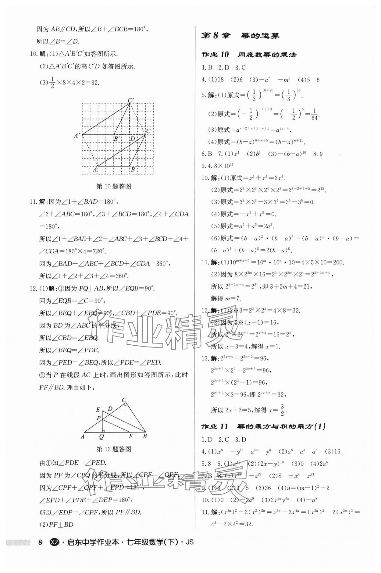 2024年啟東中學(xué)作業(yè)本七年級(jí)數(shù)學(xué)下冊(cè)蘇科版徐州專版 參考答案第8頁(yè)