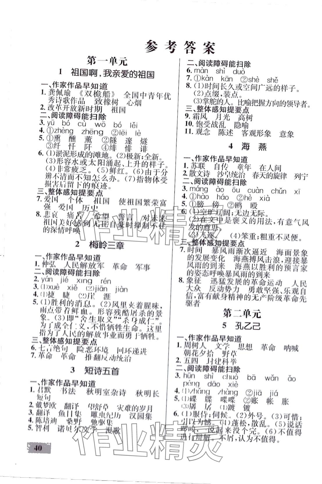 2024年同步學(xué)考優(yōu)化設(shè)計(jì)九年級(jí)語(yǔ)文下冊(cè)人教版 第1頁(yè)