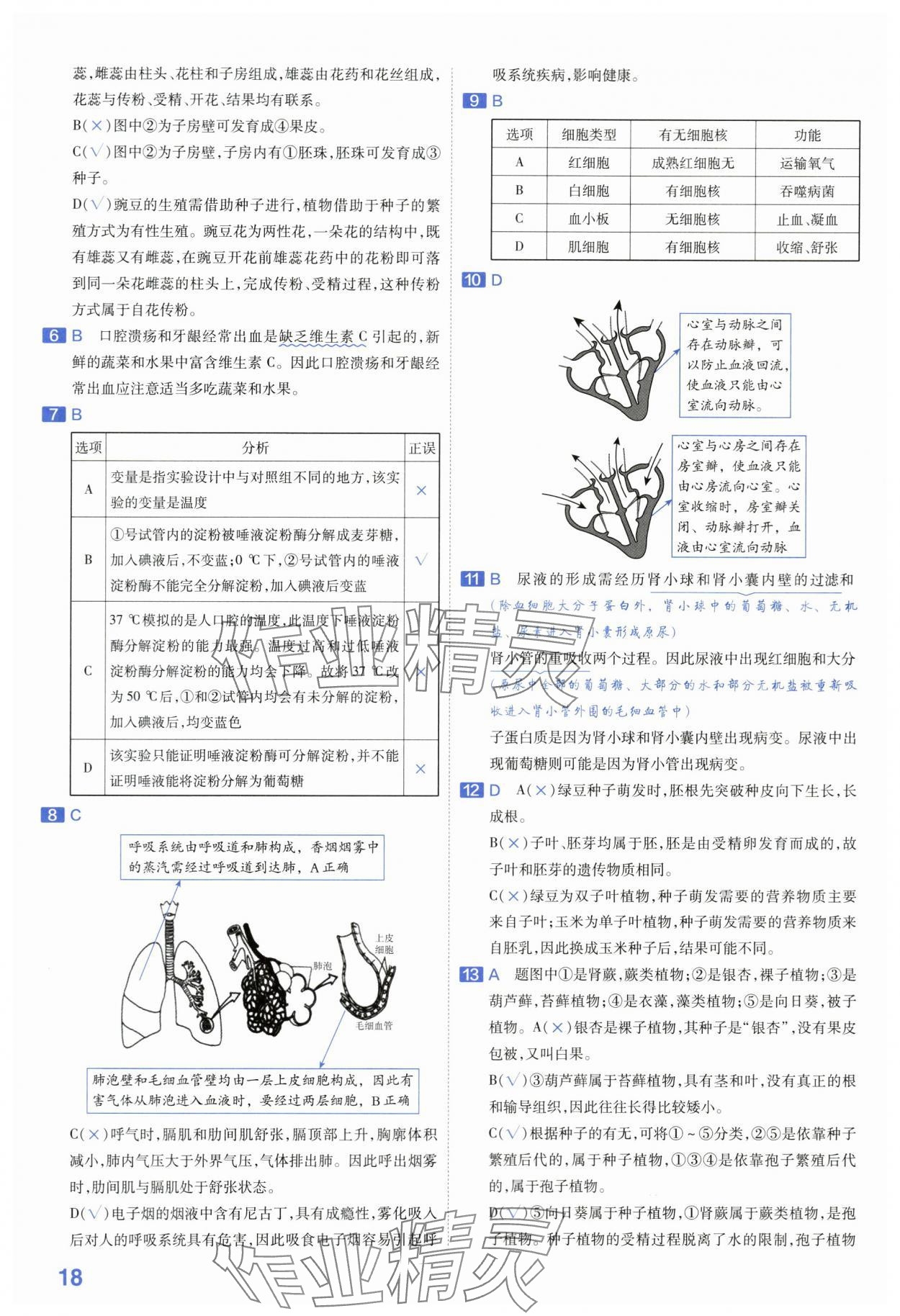 2024年金考卷45套匯編生物河南專版 第18頁(yè)