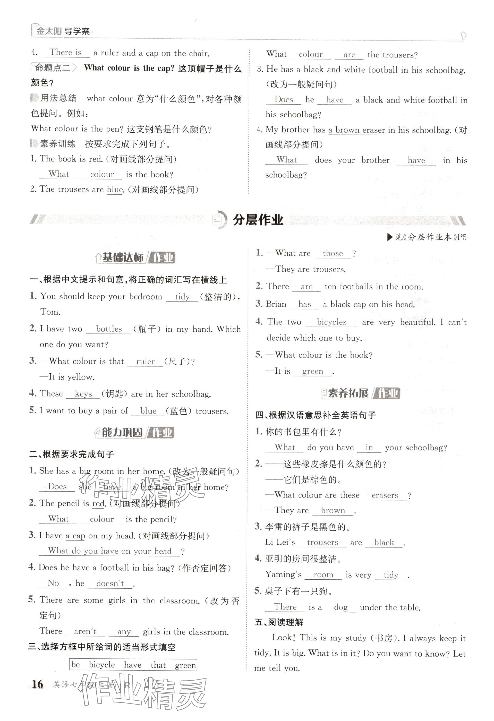 2024年金太阳导学案七年级英语上册人教版 参考答案第16页