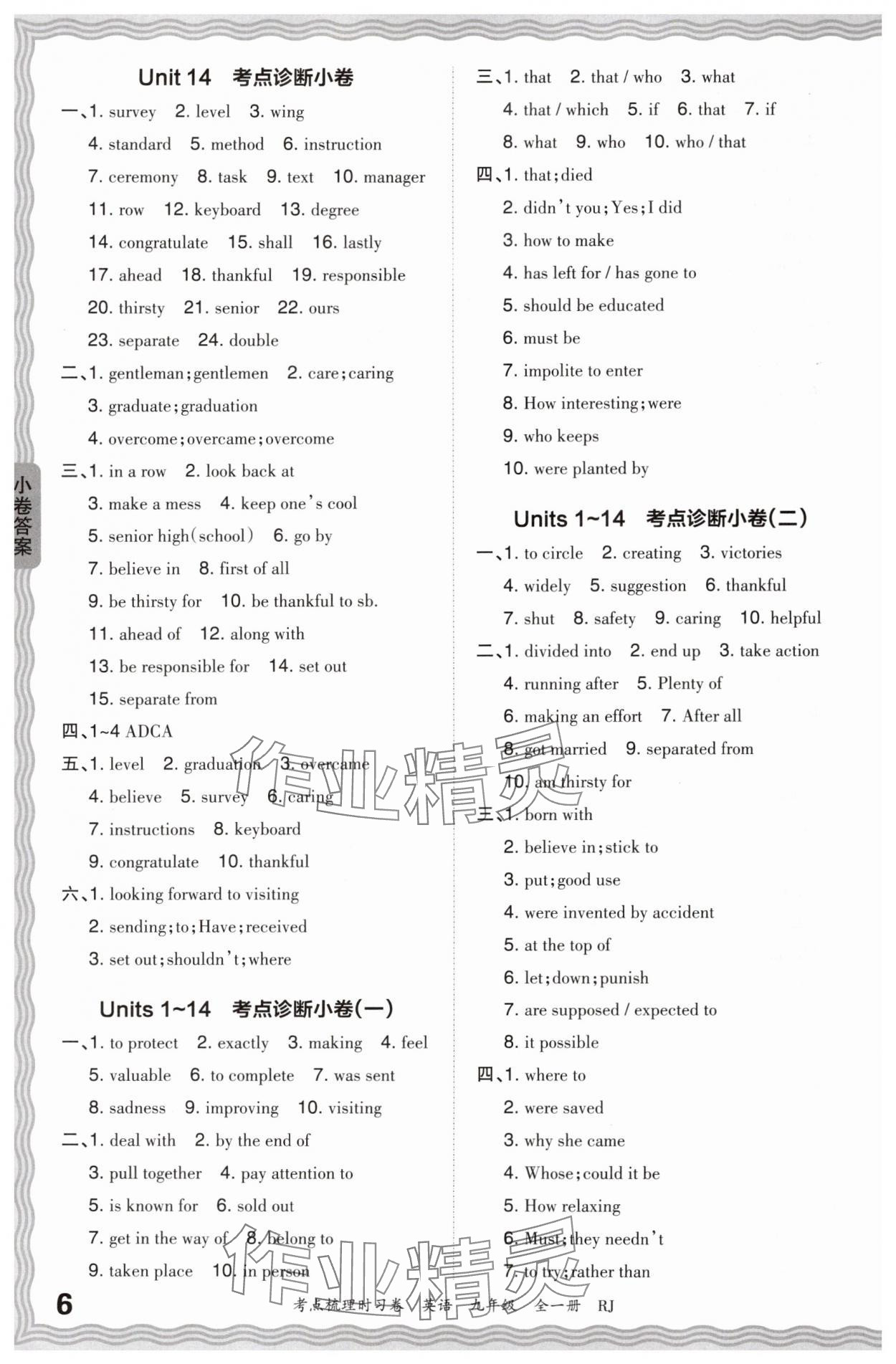 2024年王朝霞考点梳理时习卷九年级英语全一册人教版 第6页