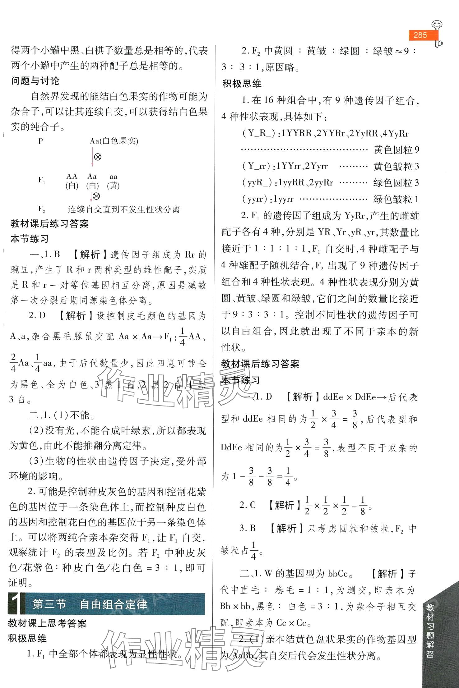 2024年教材課本高中生物必修2蘇教版 第2頁(yè)