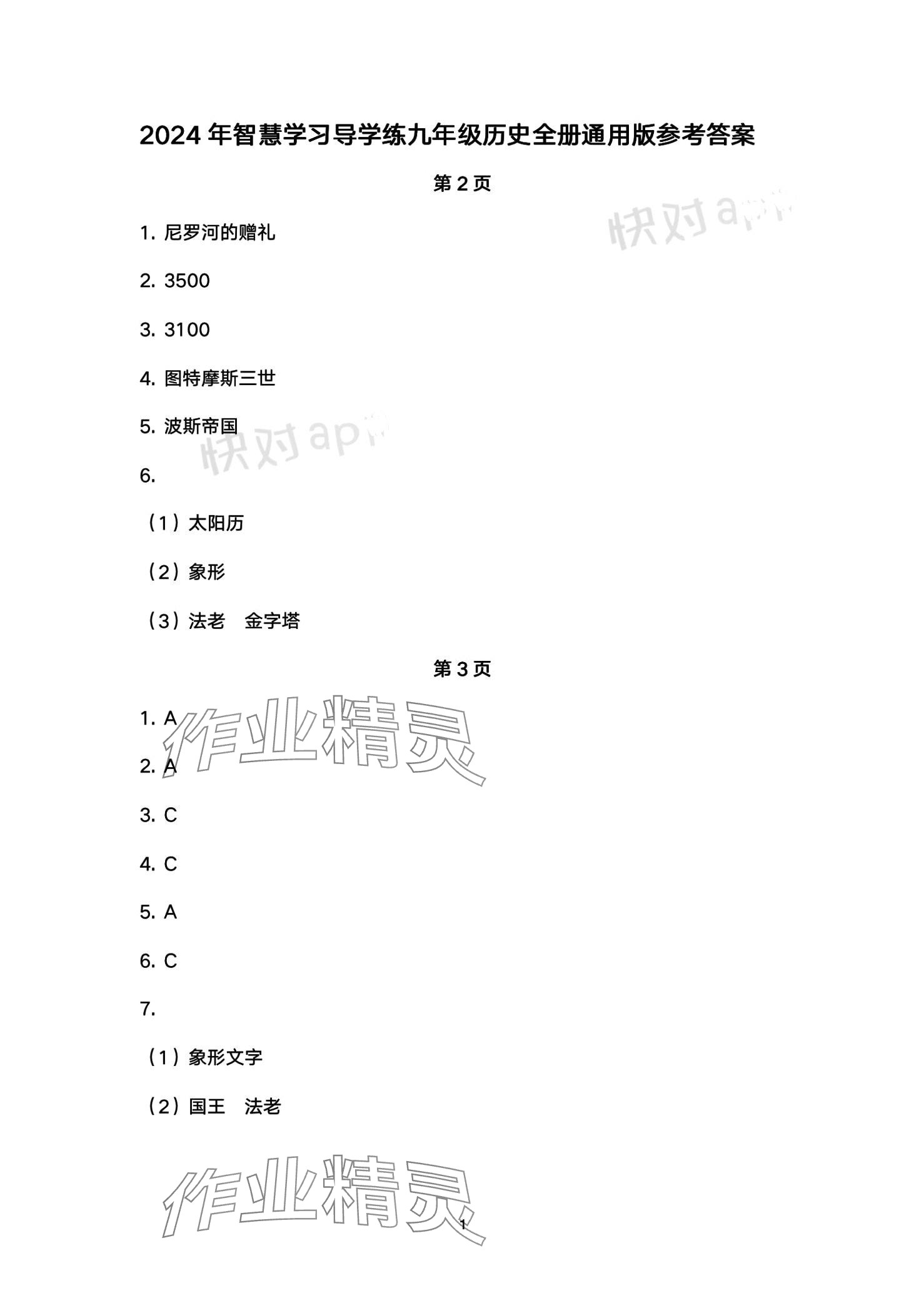 2024年智慧學(xué)習(xí)（同步學(xué)習(xí)）明天出版社九年級歷史全一冊 第1頁