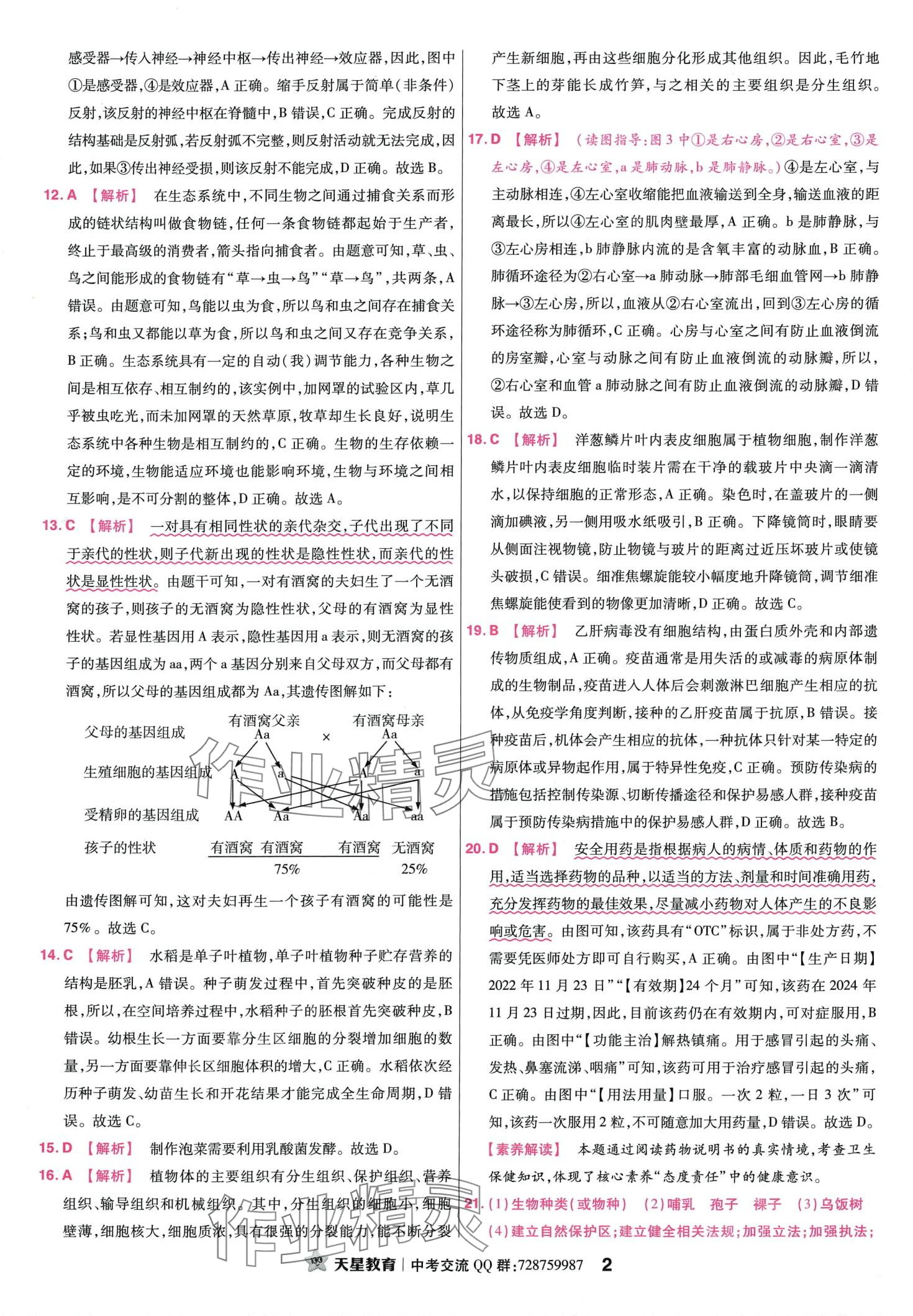 2024年金考卷45套汇编生物中考江西专版 第2页