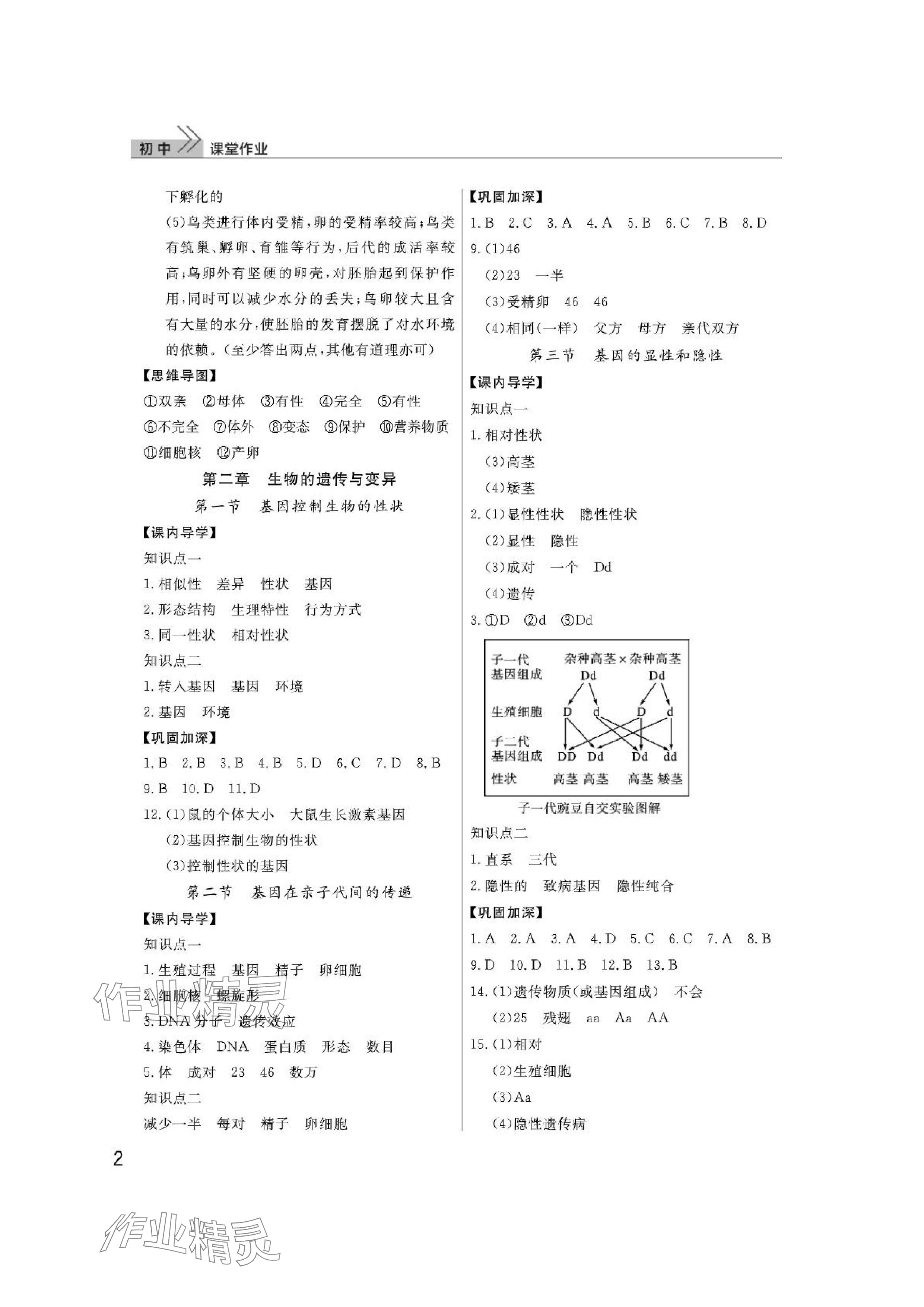 2024年課堂作業(yè)武漢出版社八年級生物下冊人教版 參考答案第2頁