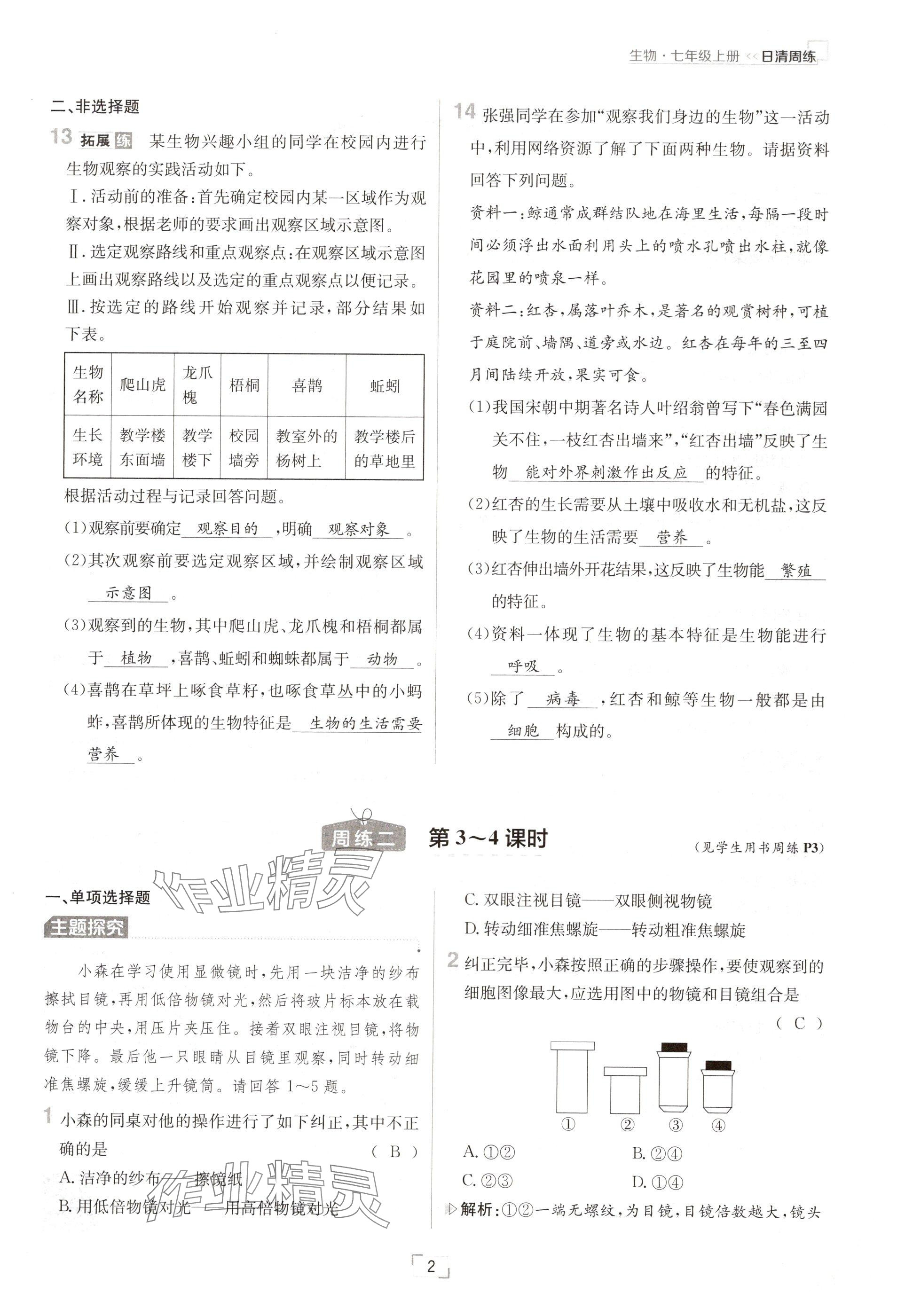 2024年日清周練七年級(jí)生物上冊(cè)人教版 參考答案第2頁(yè)