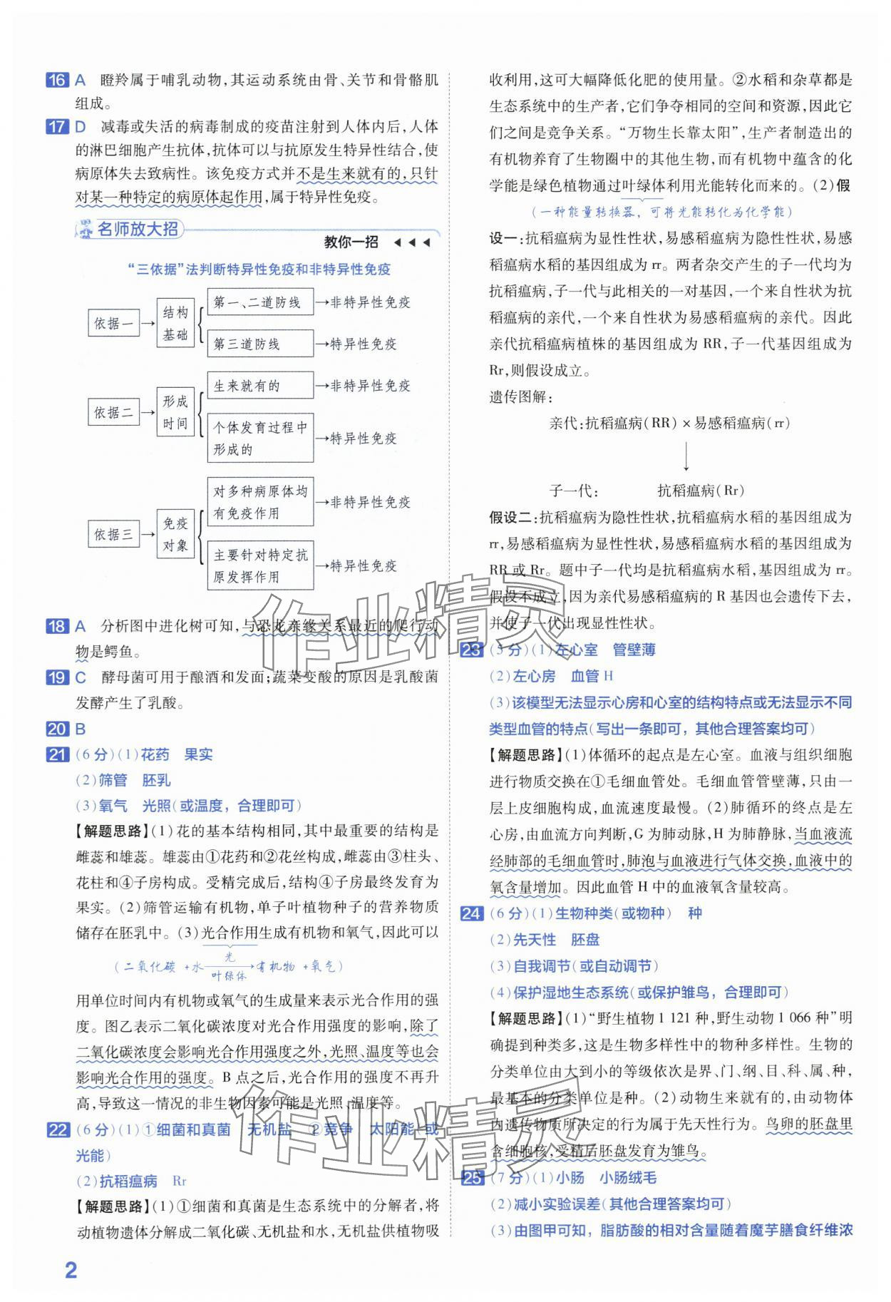 2024年金考卷45套匯編生物河南專版 第2頁