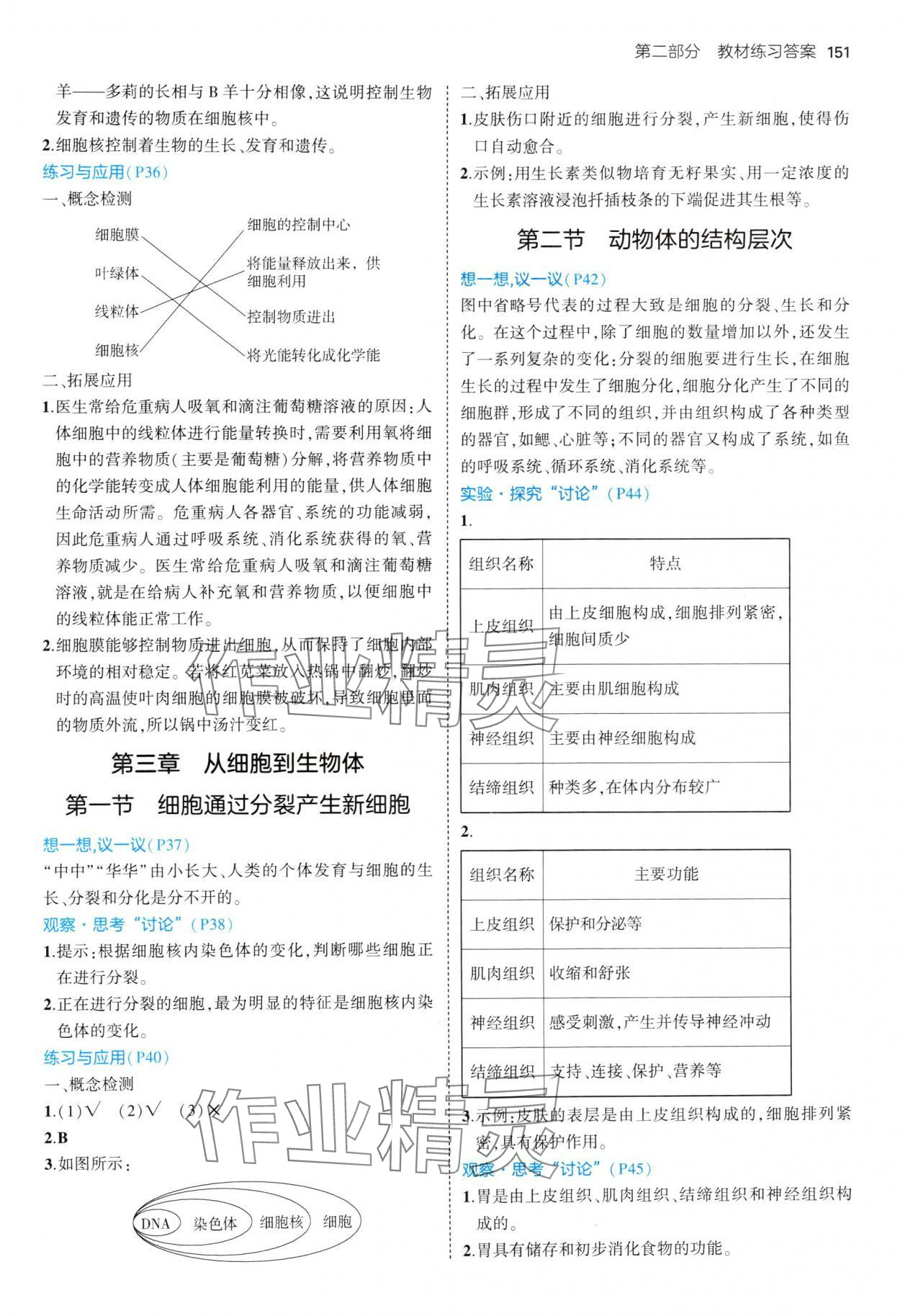 2024年教材课本七年级生物上册人教版 参考答案第3页