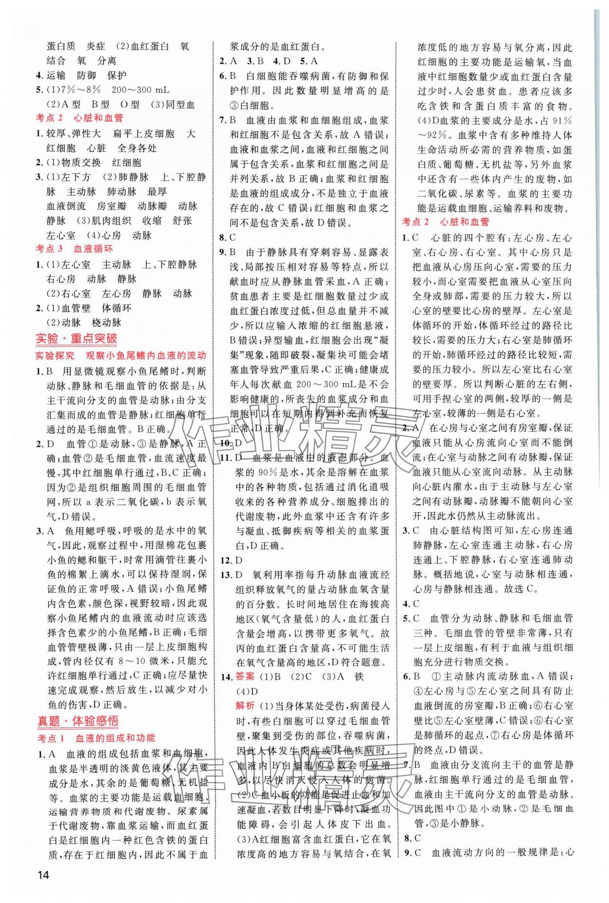 2024年中考高手生物 参考答案第14页