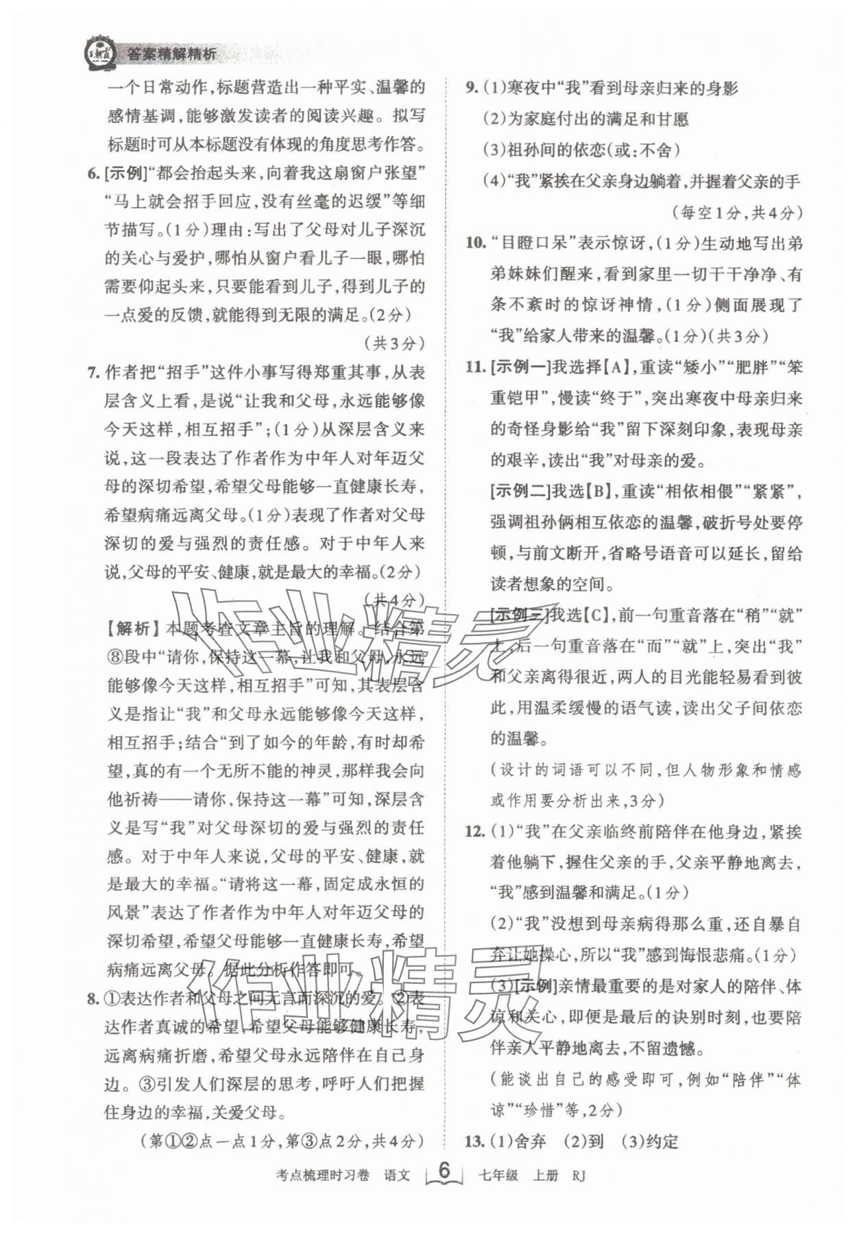 2024年王朝霞考点梳理时习卷七年级语文上册人教版 第6页