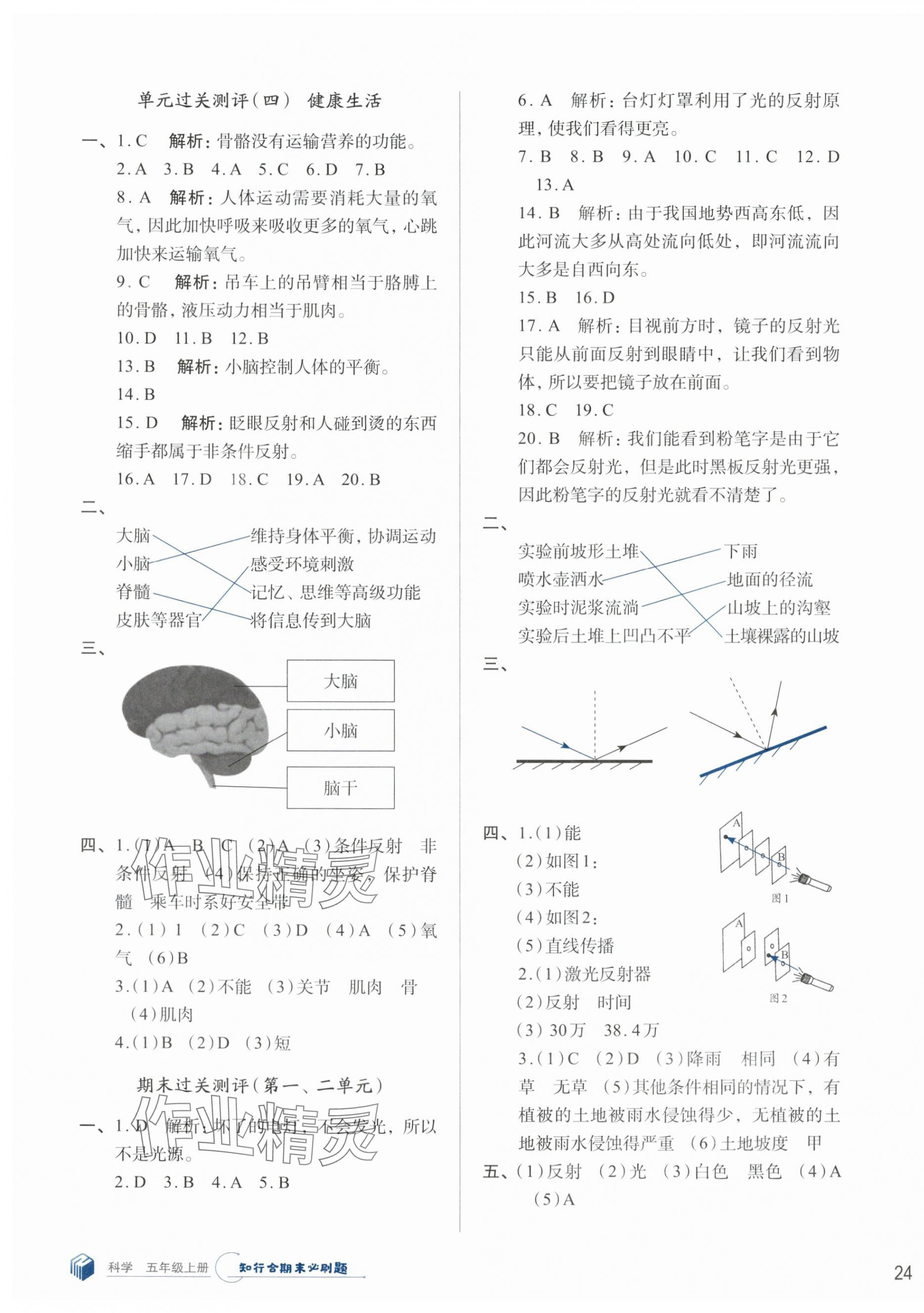 2024年知行合期末必刷題五年級科學上冊教科版 參考答案第3頁