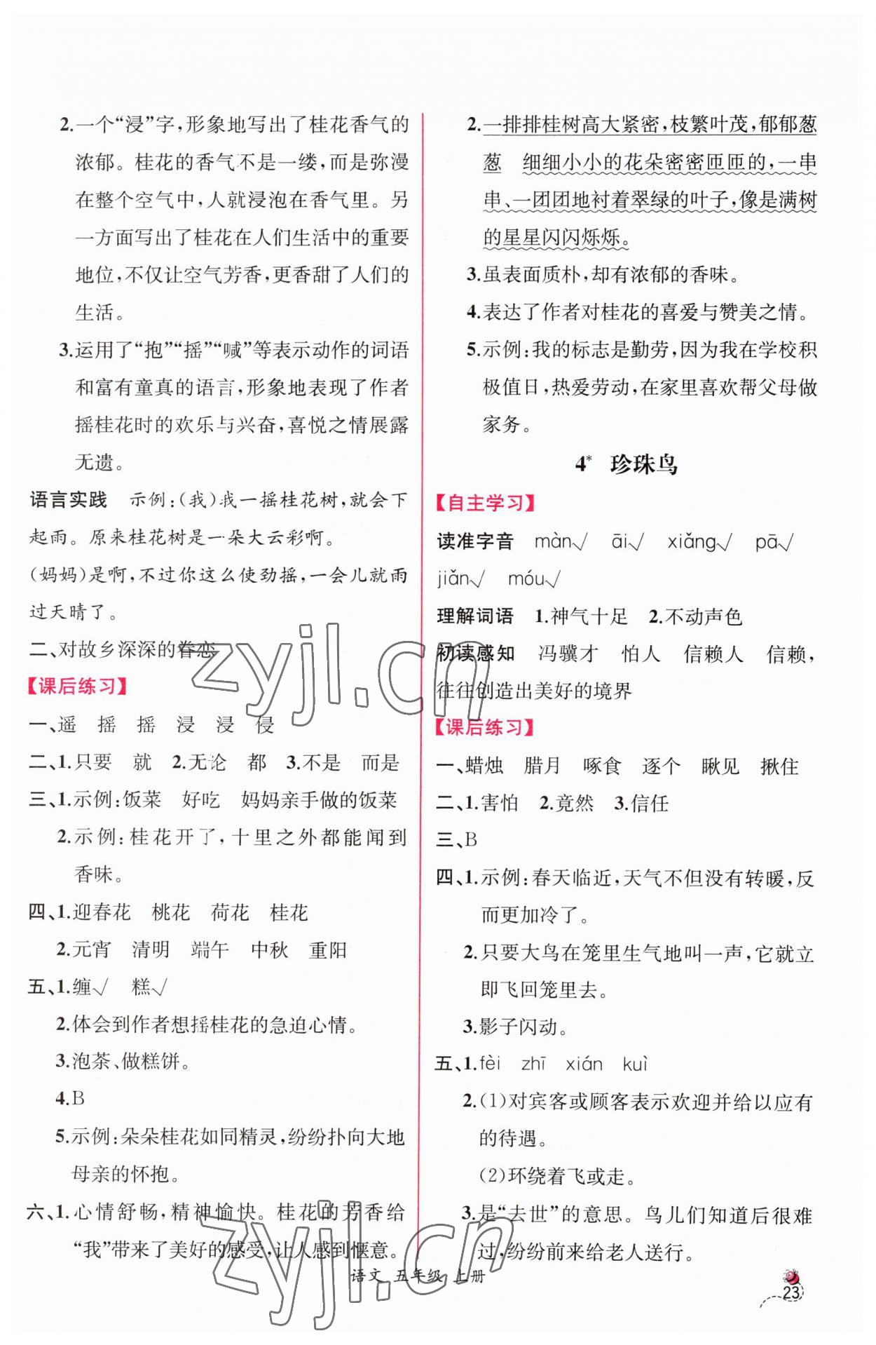 2023年同步導(dǎo)學(xué)案課時練五年級語文上冊人教版 第3頁