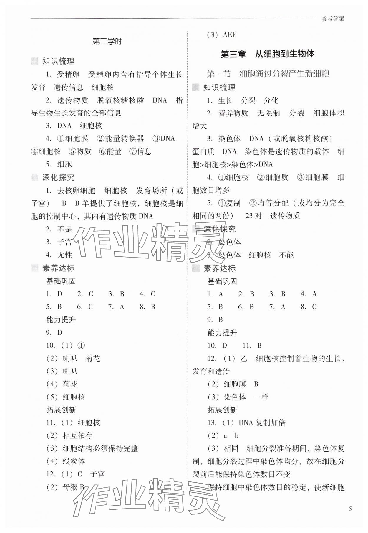 2024年新課程問題解決導(dǎo)學(xué)方案七年級(jí)生物上冊(cè)人教版 參考答案第5頁