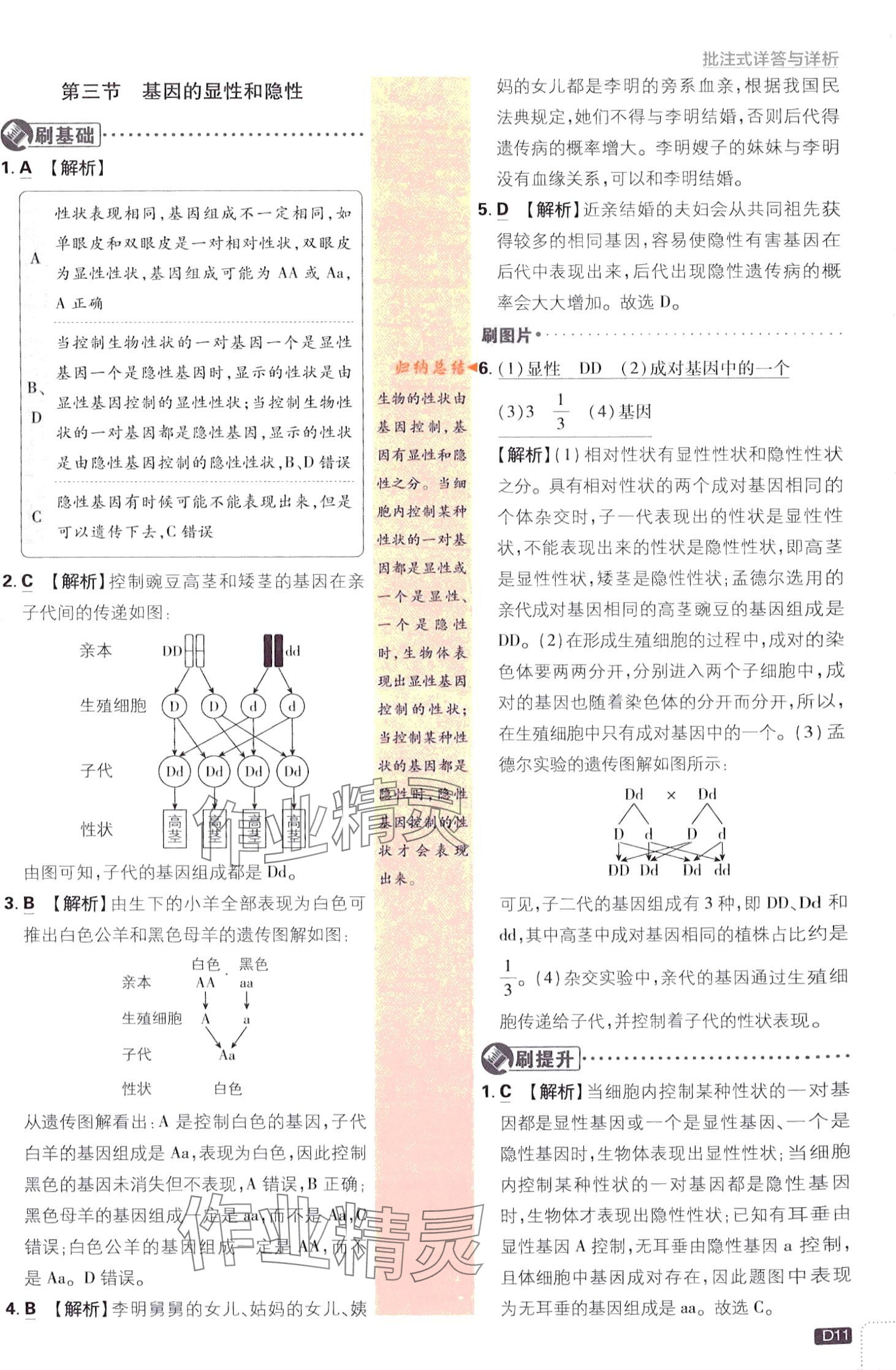 2024年初中必刷題八年級生物下冊人教版 第11頁